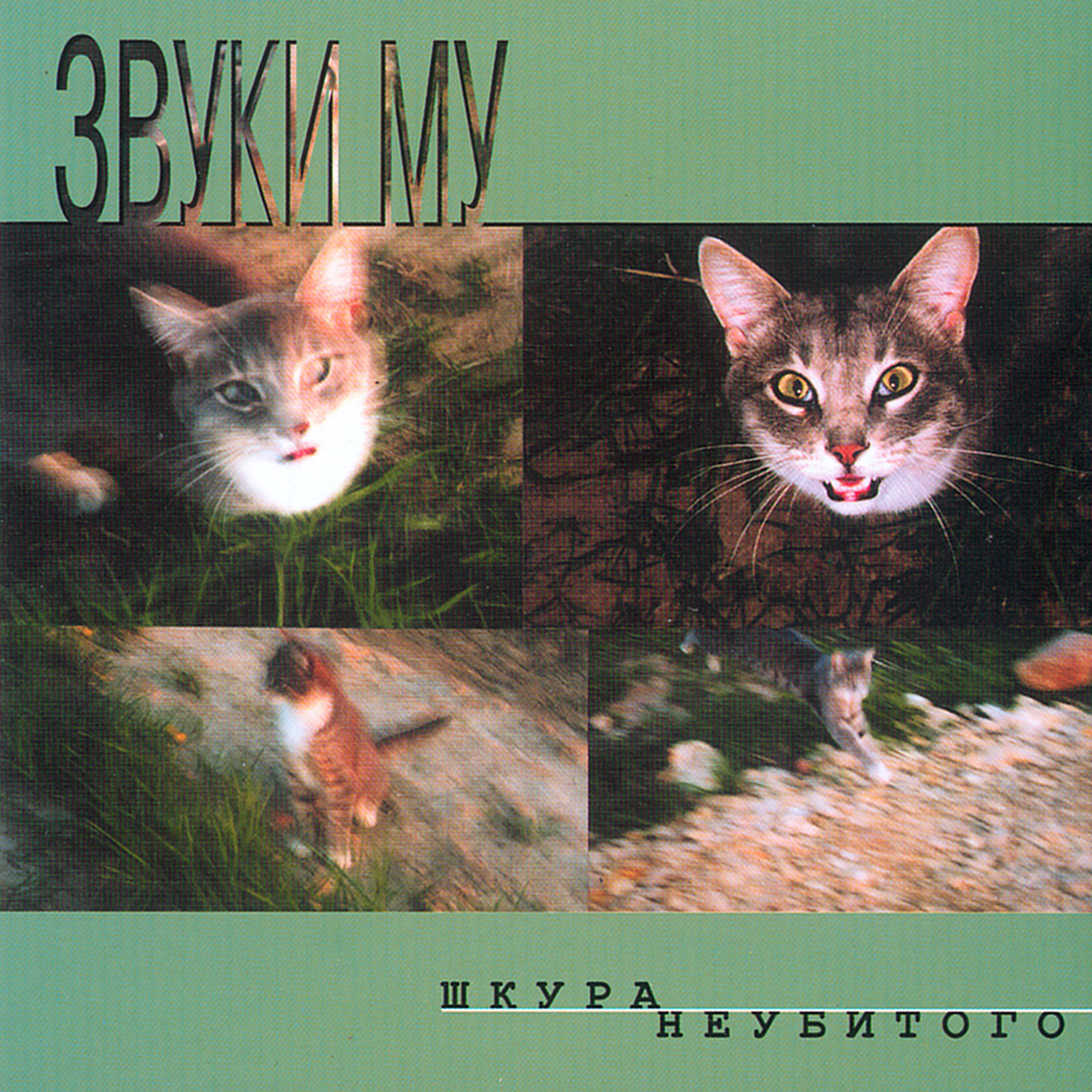 Релиз Шкура неубитого
