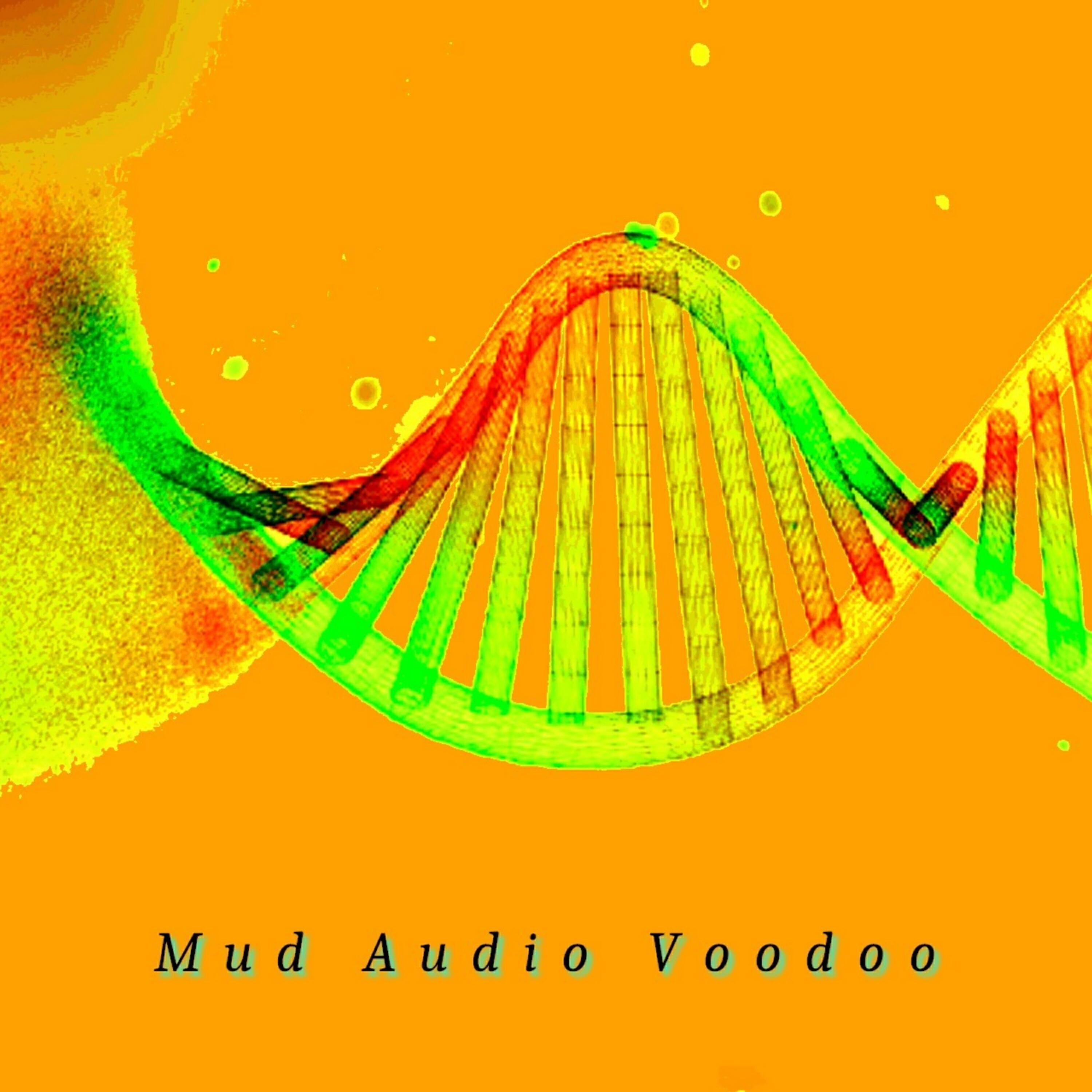 Mud Audio Voodoo