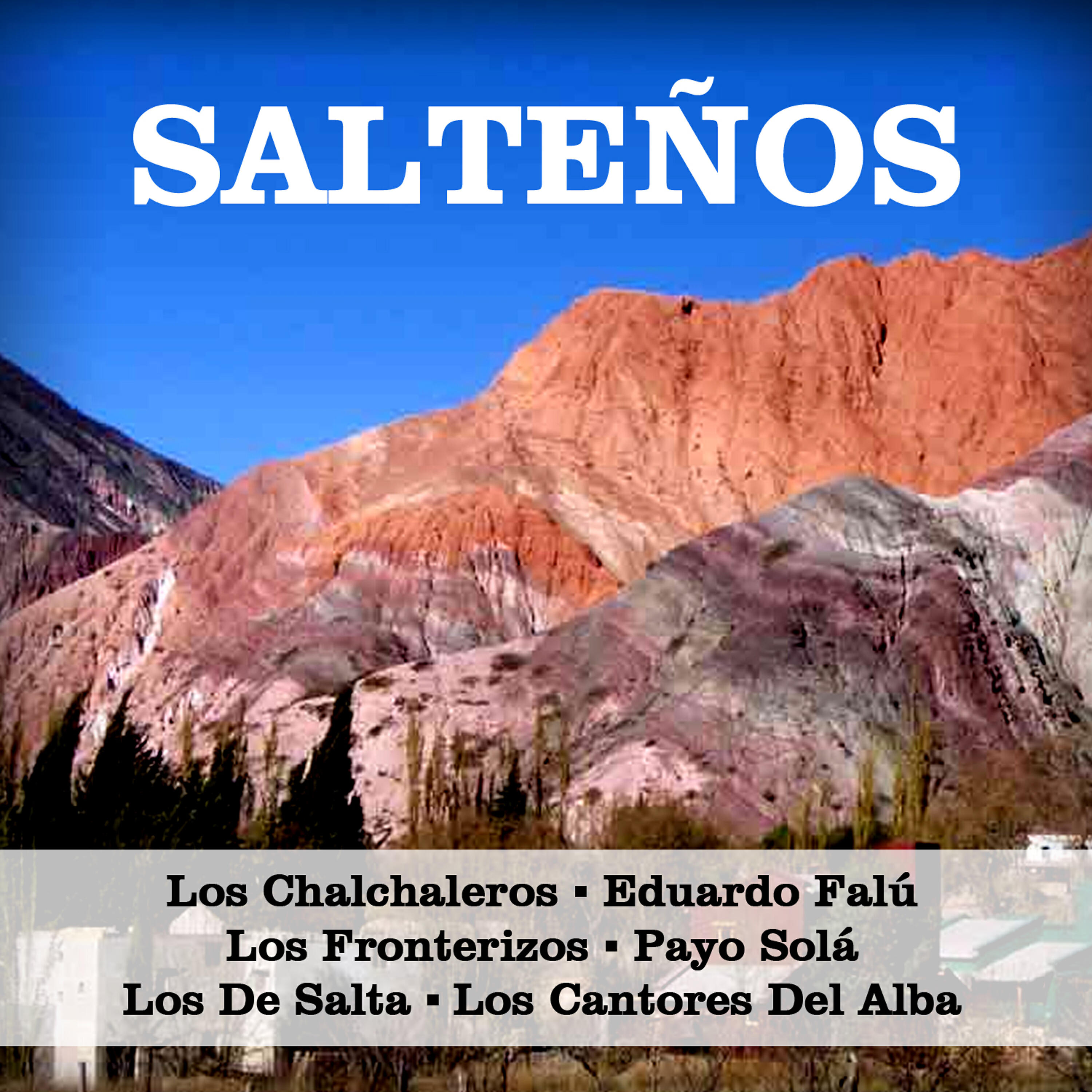 Релиз Salteños