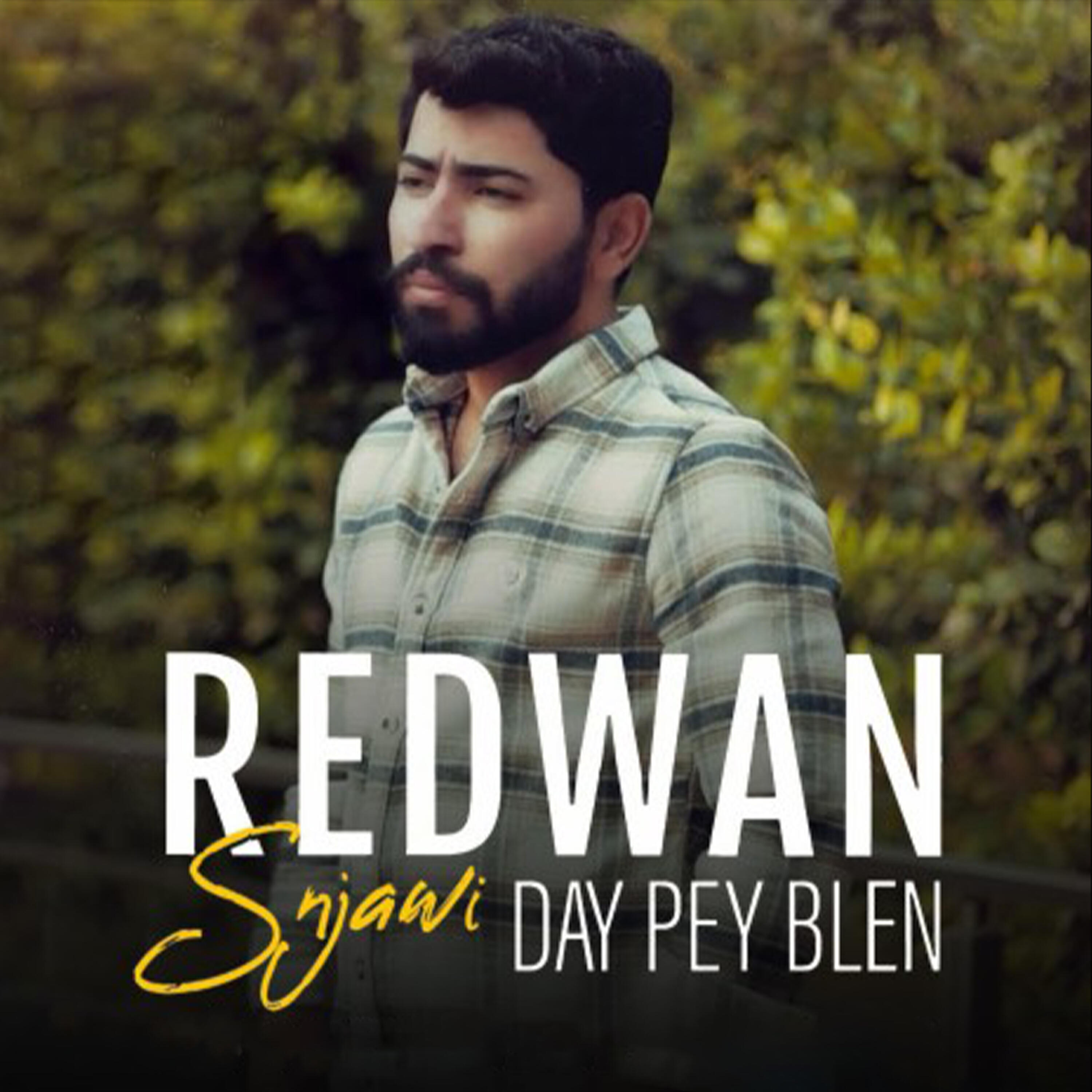 Релиз Day Pey Blen