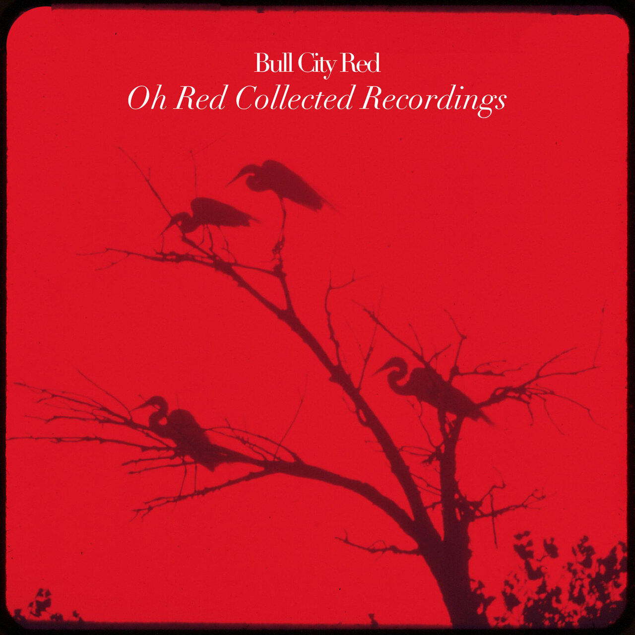 Релиз Oh Red Collected Recordings