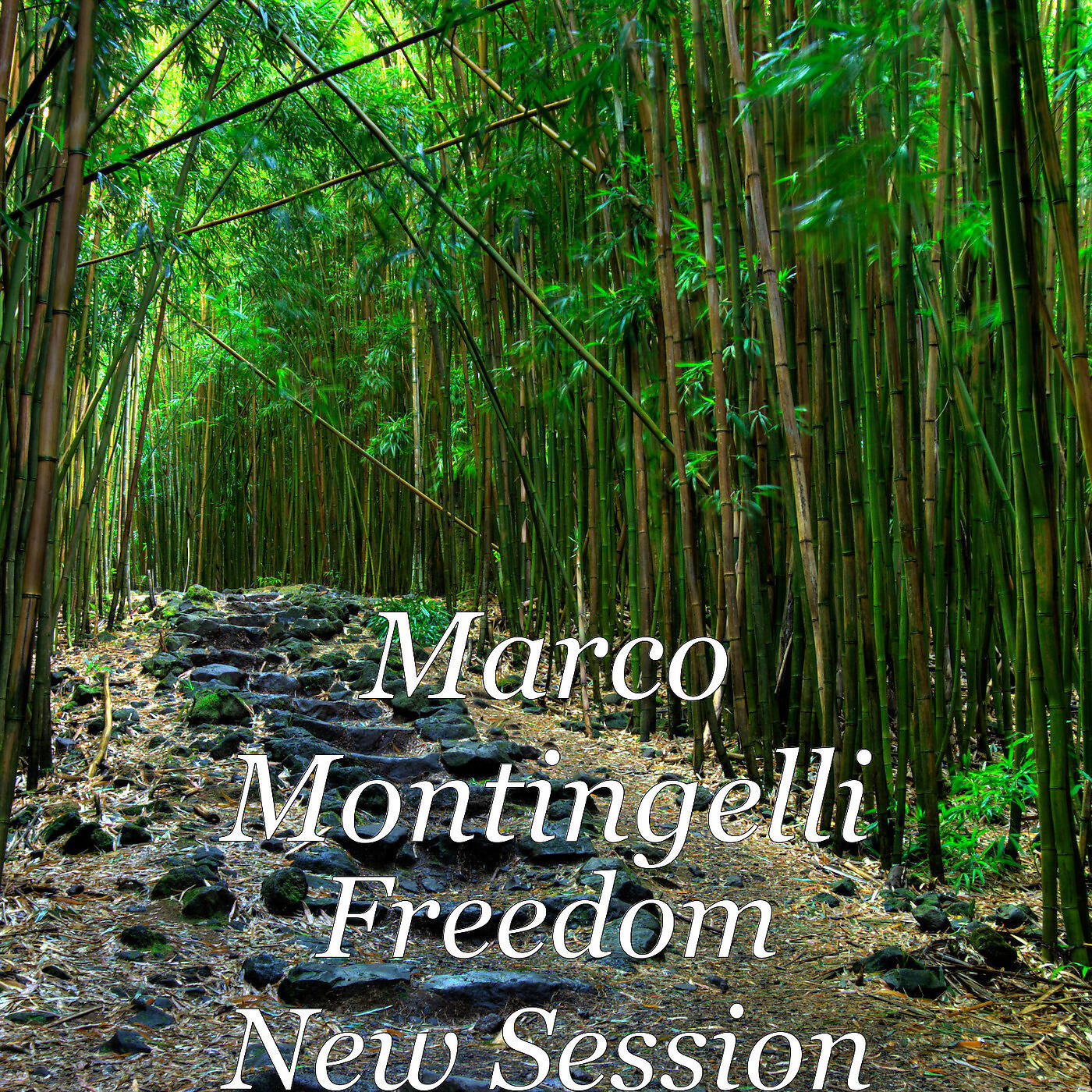 Marco Montingelli