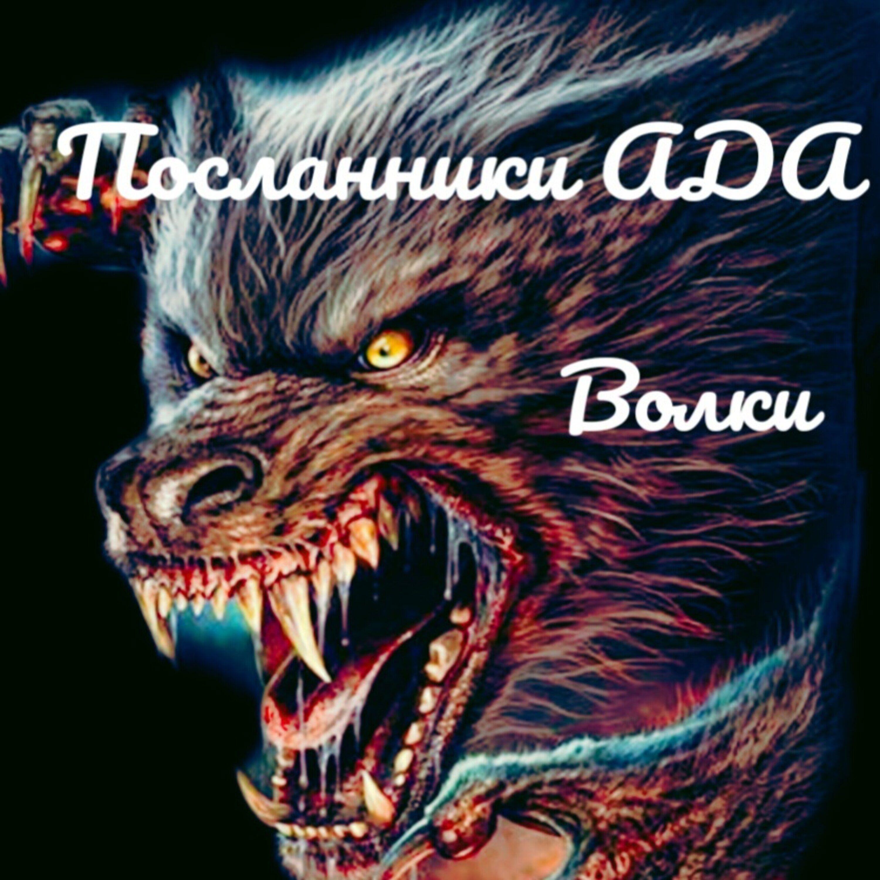 Релиз Волки