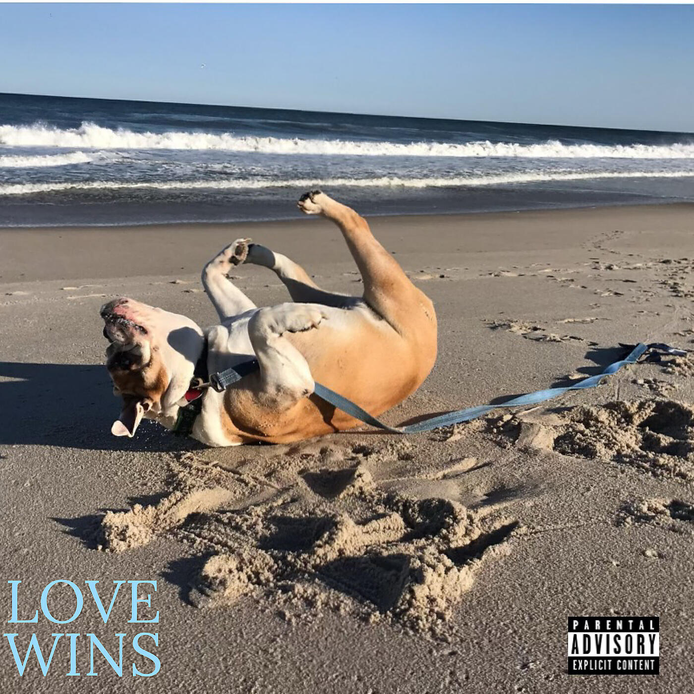 Релиз Love Wins