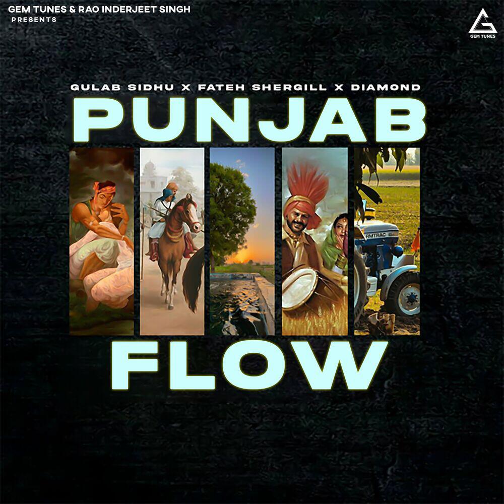 Релиз Punjab Flow
