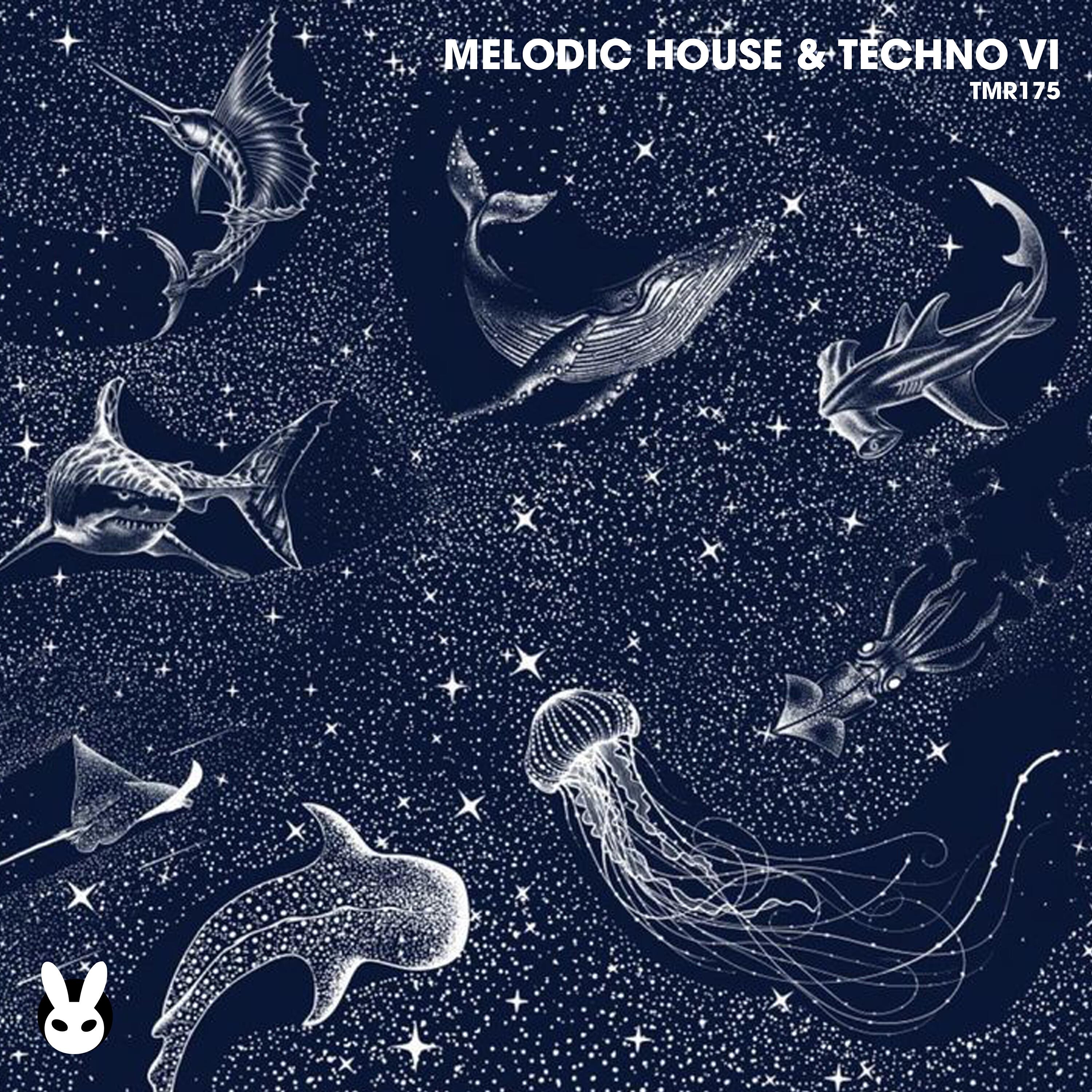 Релиз Melodic House & Techno VI