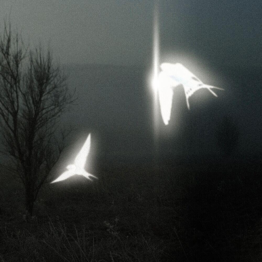 Релиз Lost&Found