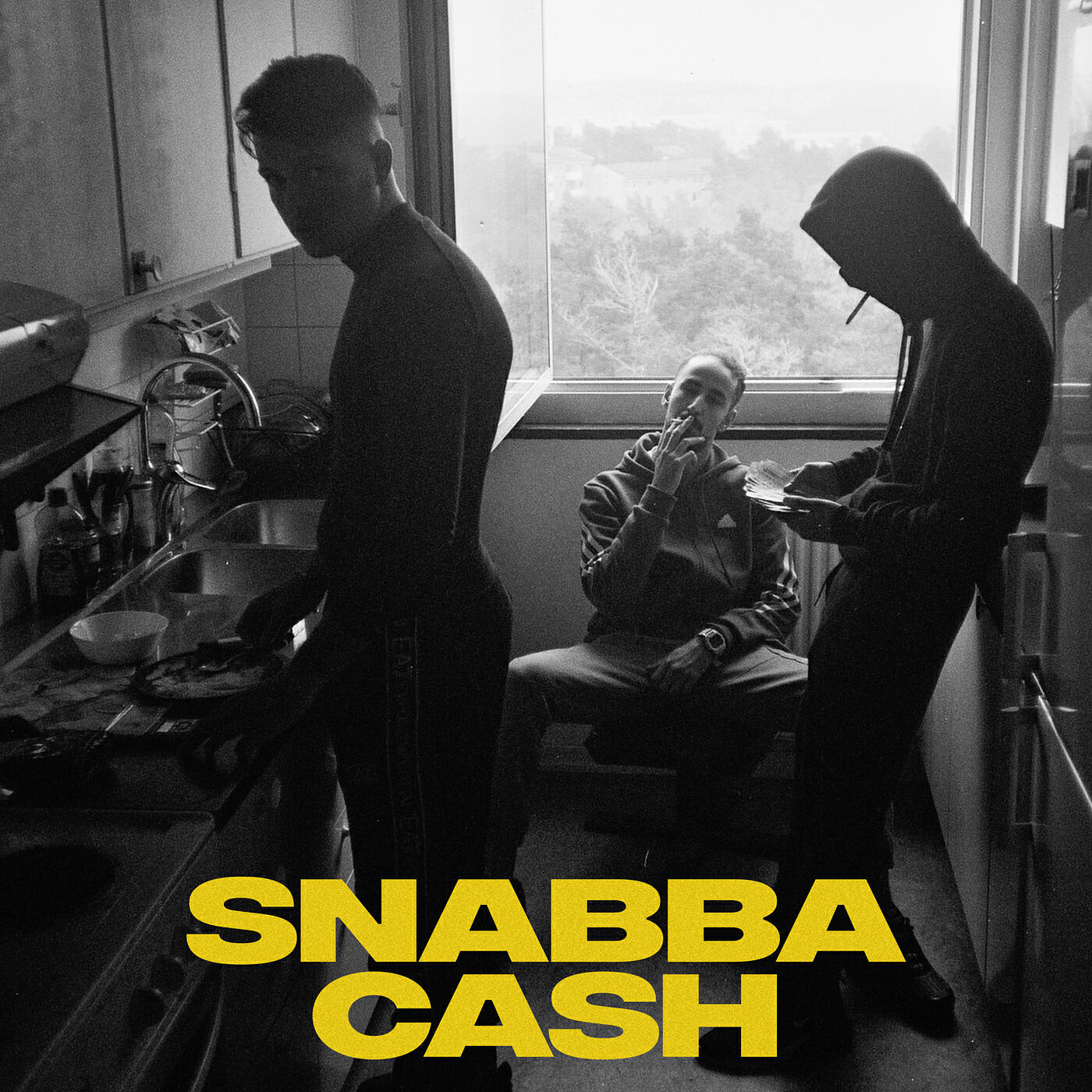 Релиз Snabba Cash