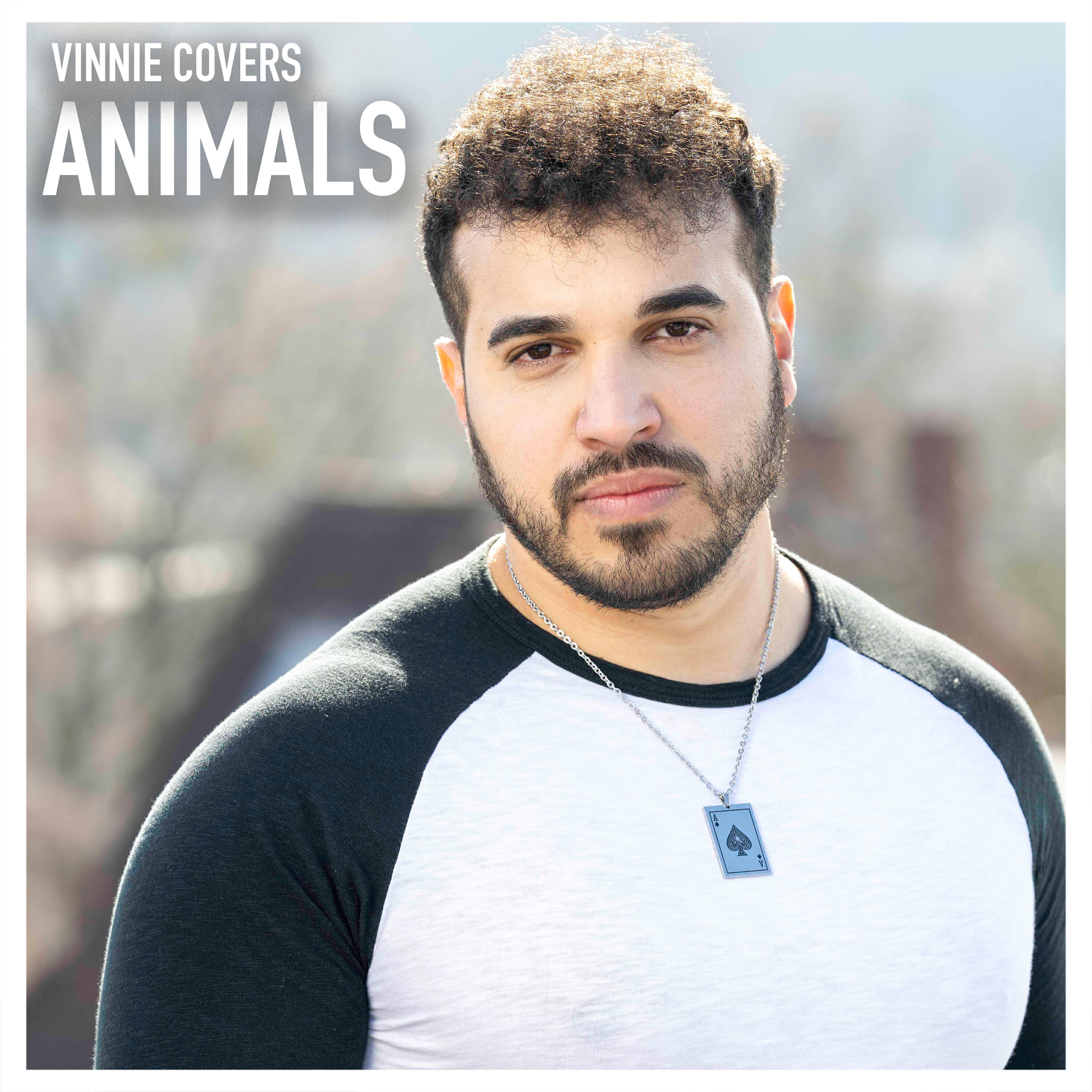 Релиз Animals