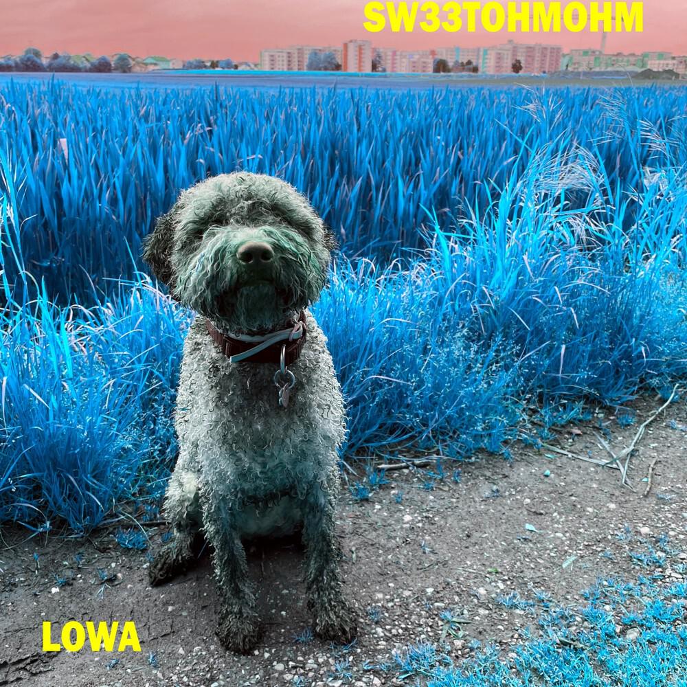 Релиз Sw33T Ohm Ohm