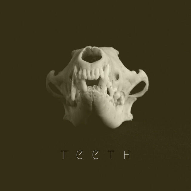 Релиз Teeth