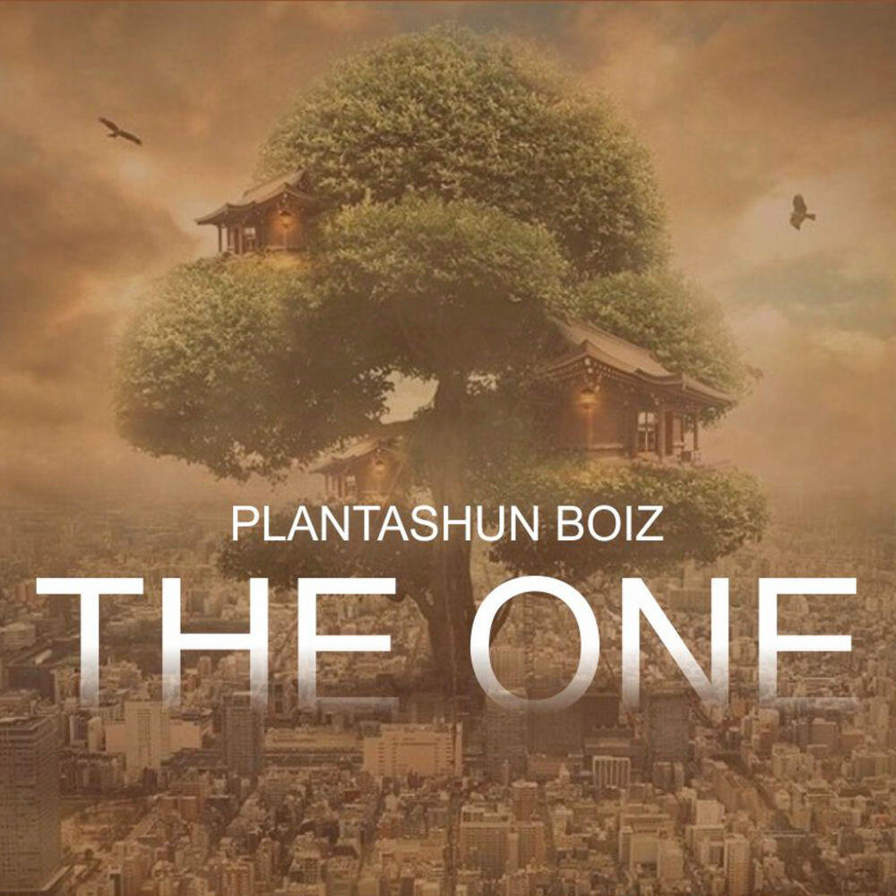 Релиз The One