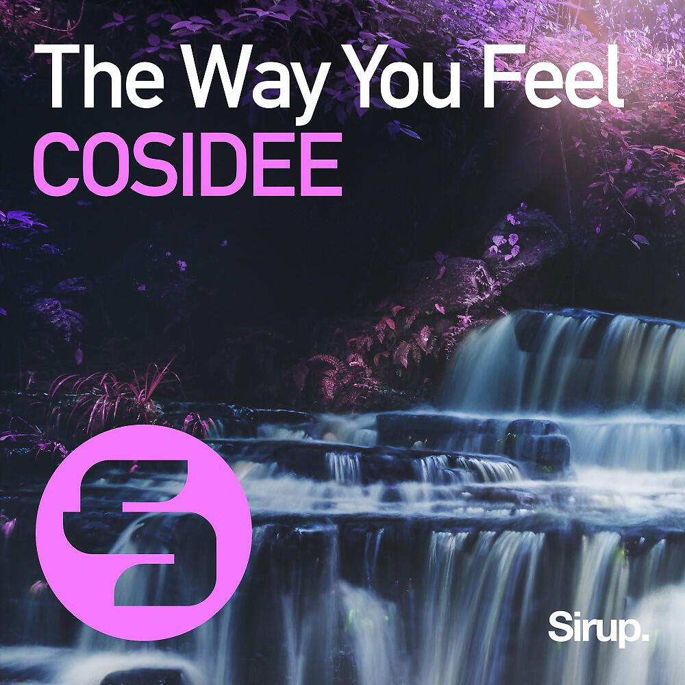 COSIDEE