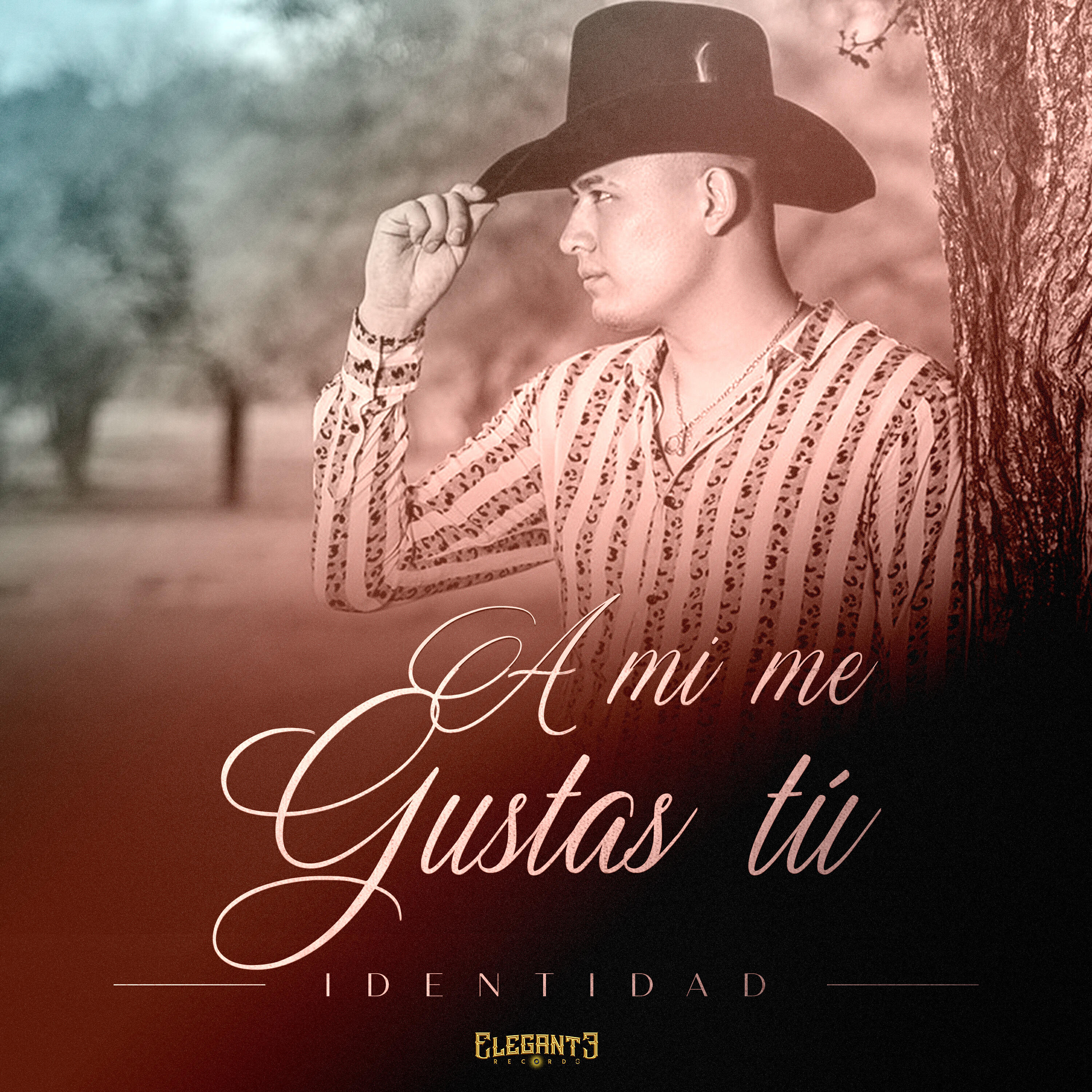 Релиз A Mí Me Gustas Tú