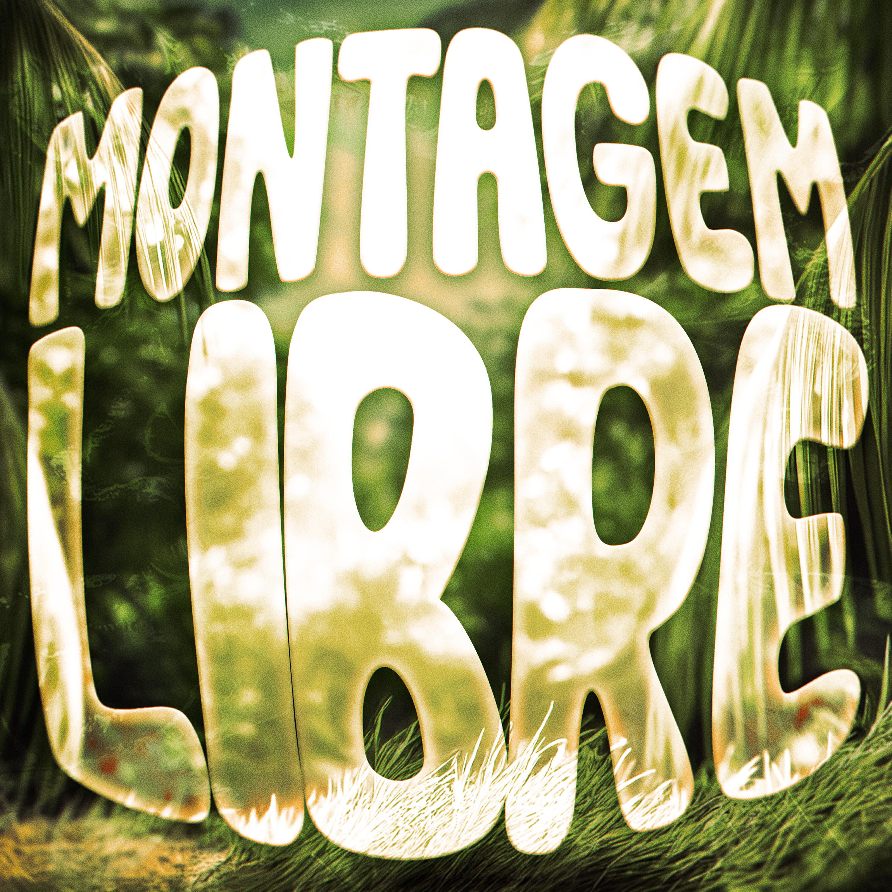 Релиз MONTAGEM LIBRE