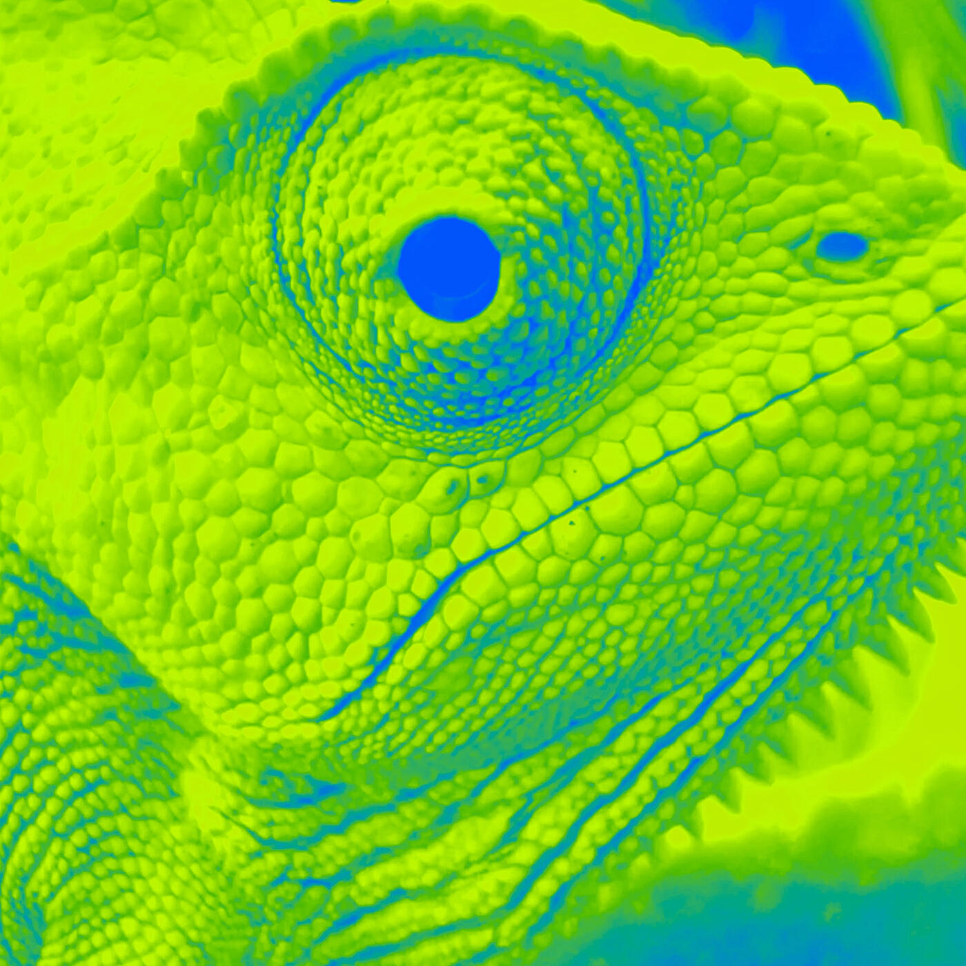 Релиз M​T​P​L​S