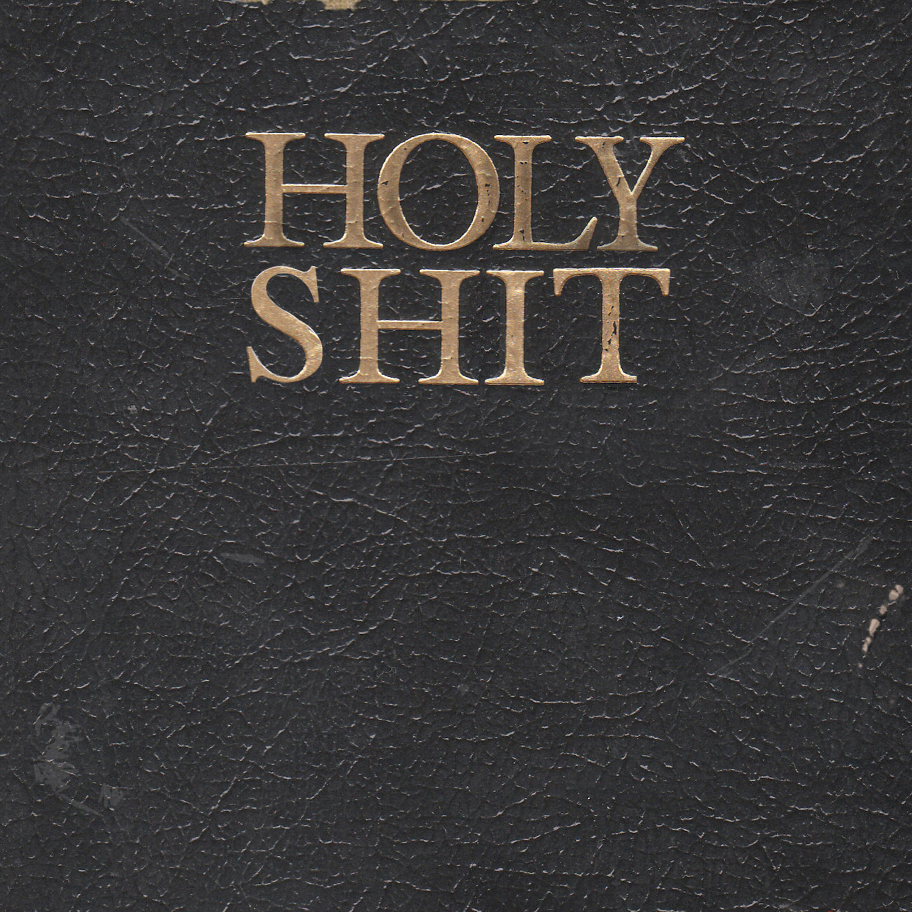 Релиз Holy Shit