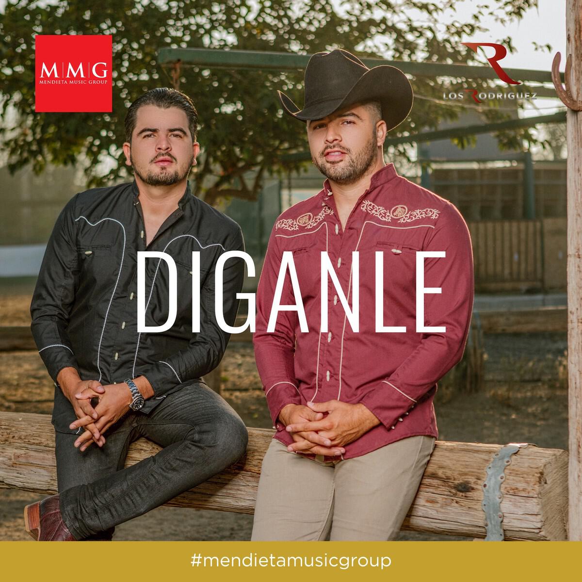 Релиз Diganle