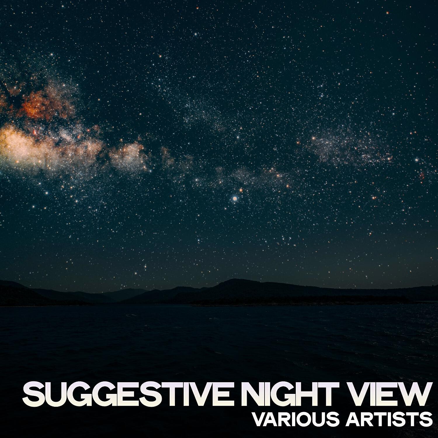 Релиз Suggestive Night View