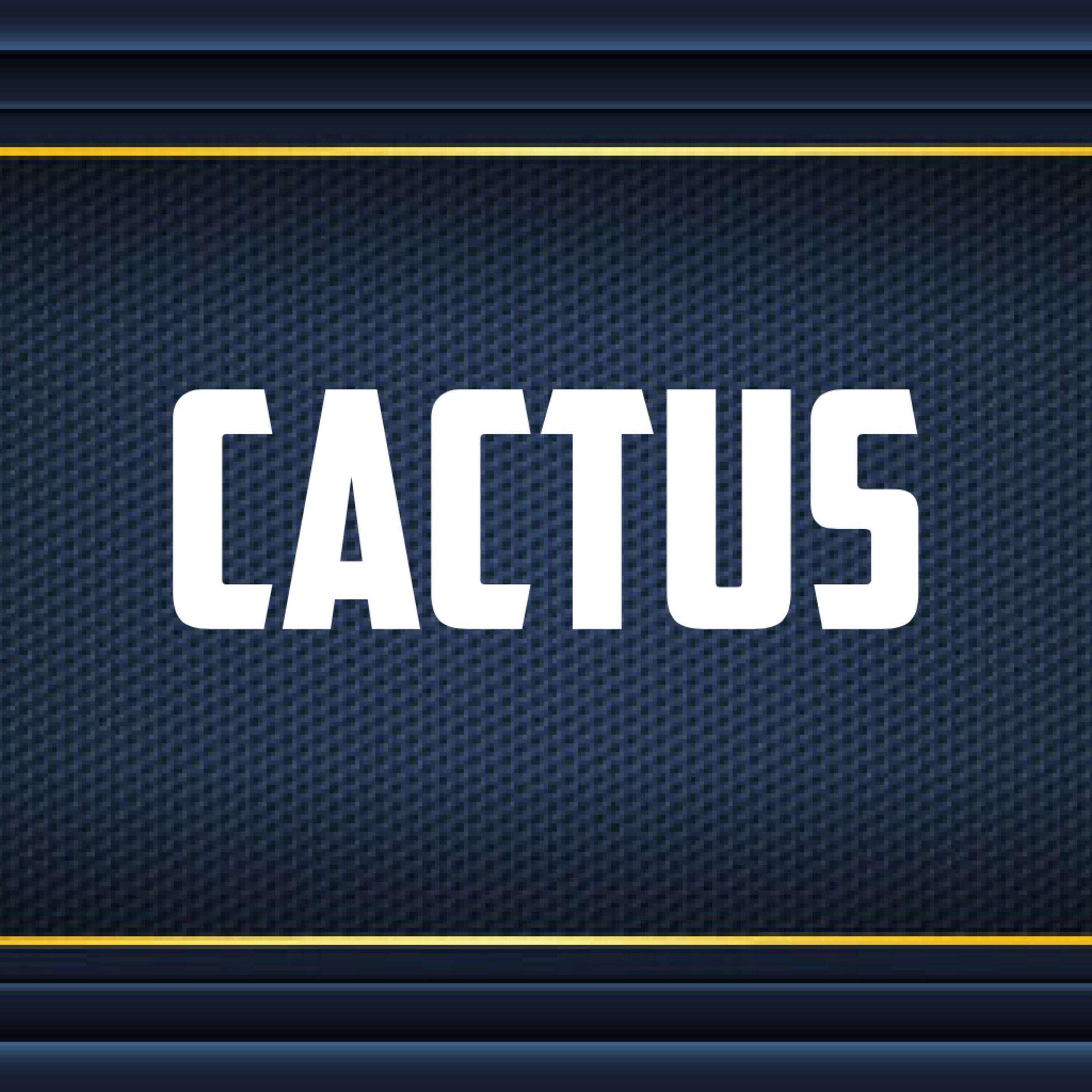Релиз Cactus