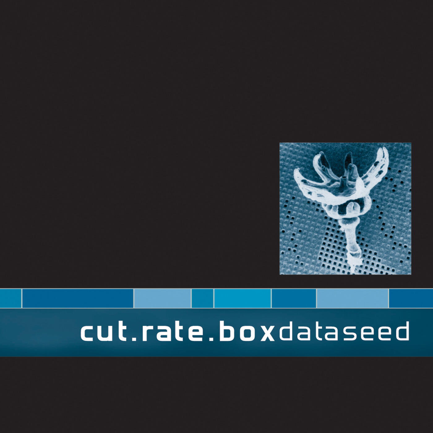Релиз Dataseed