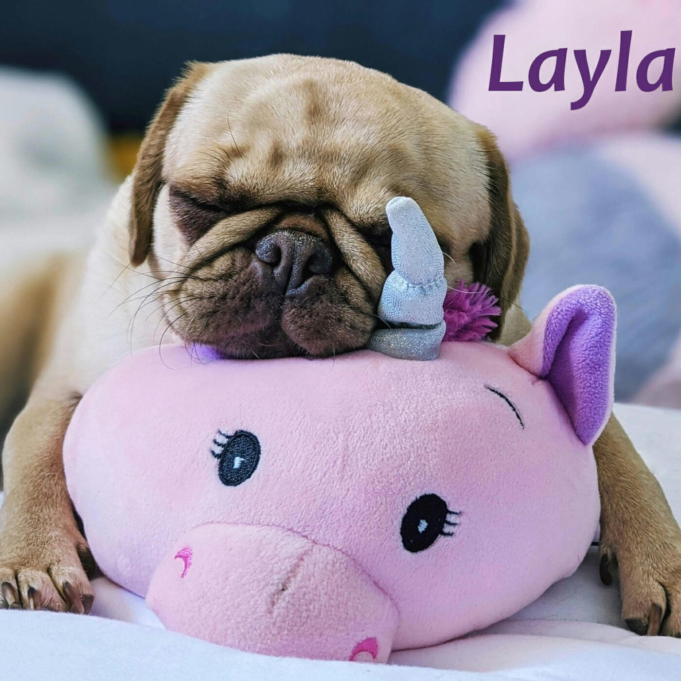 Релиз Layla