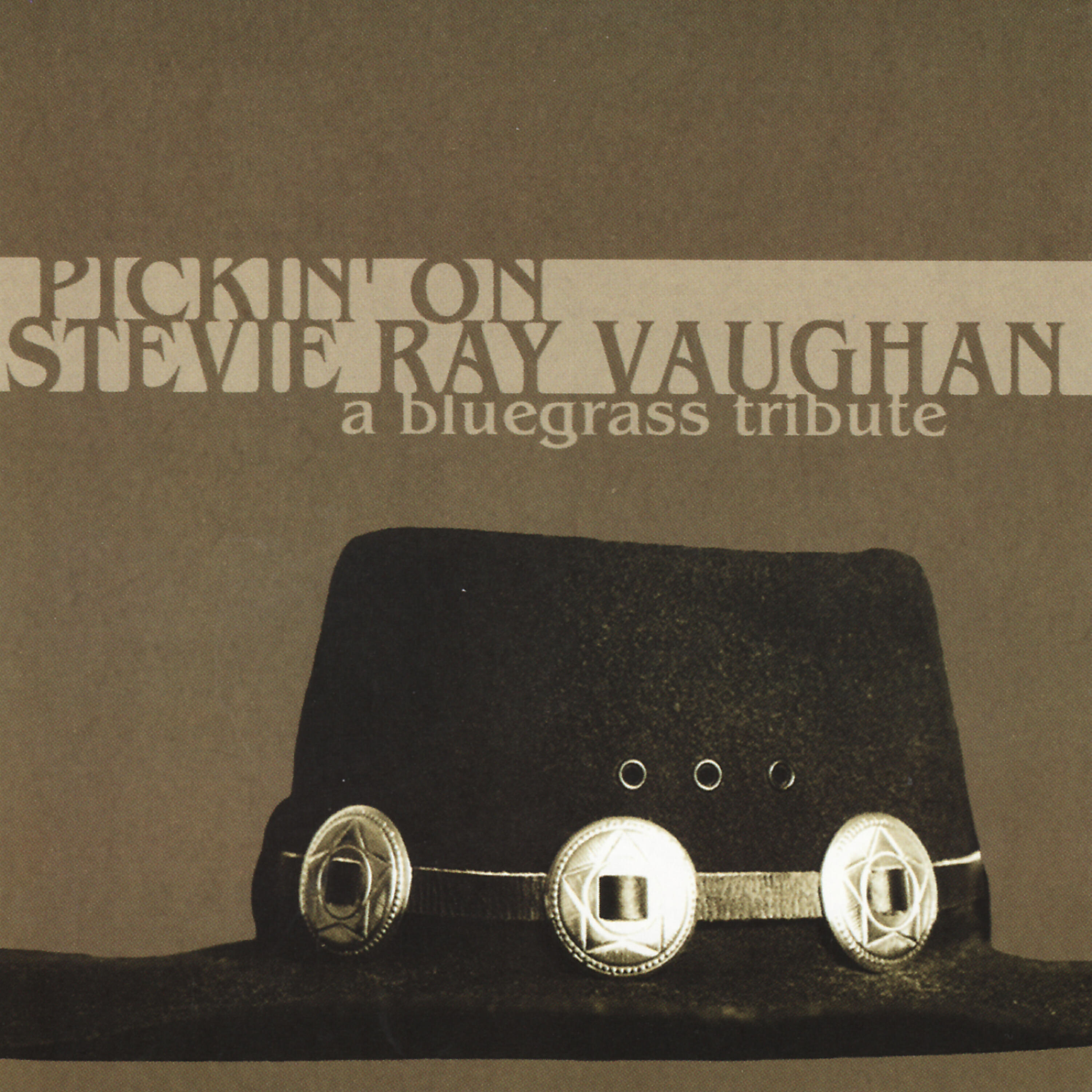 Релиз Pickin' On Stevie Ray Vaughan - A Bluegrass Tribute