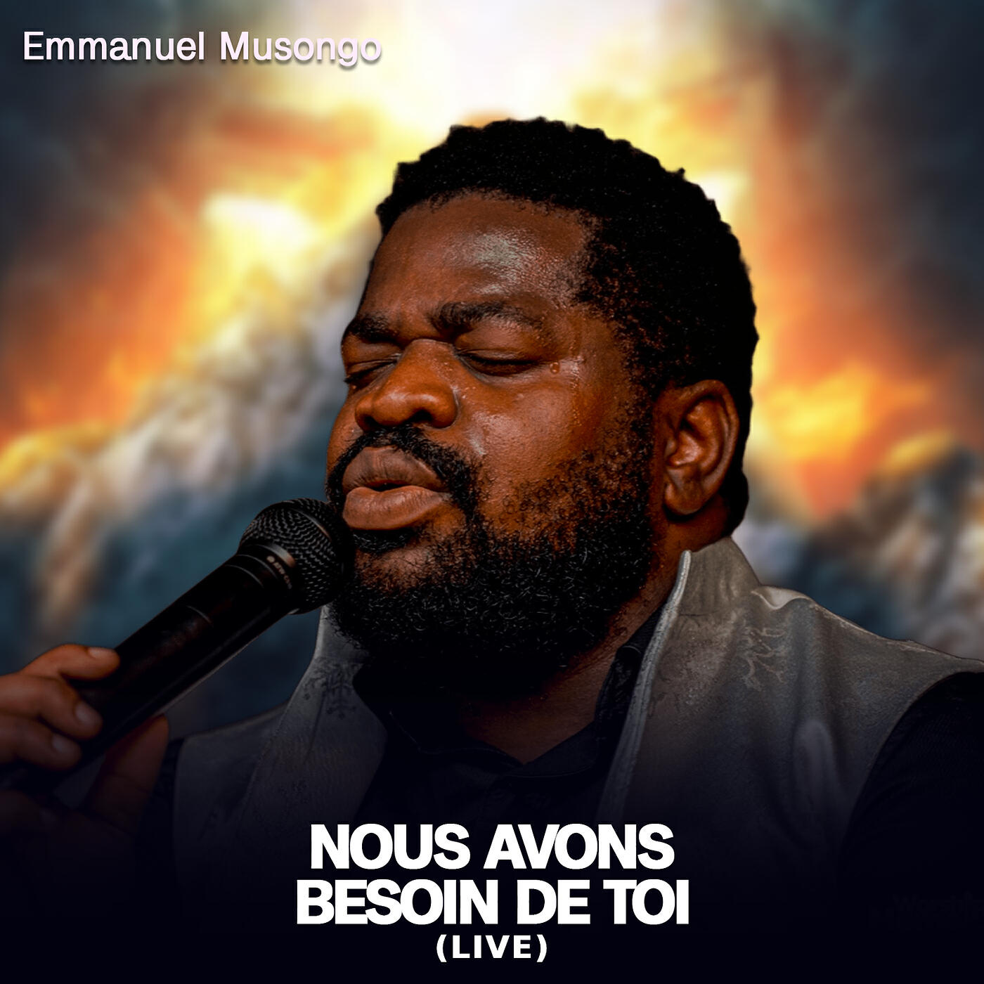 Релиз Nous Avons Besoin De Toi (Live)