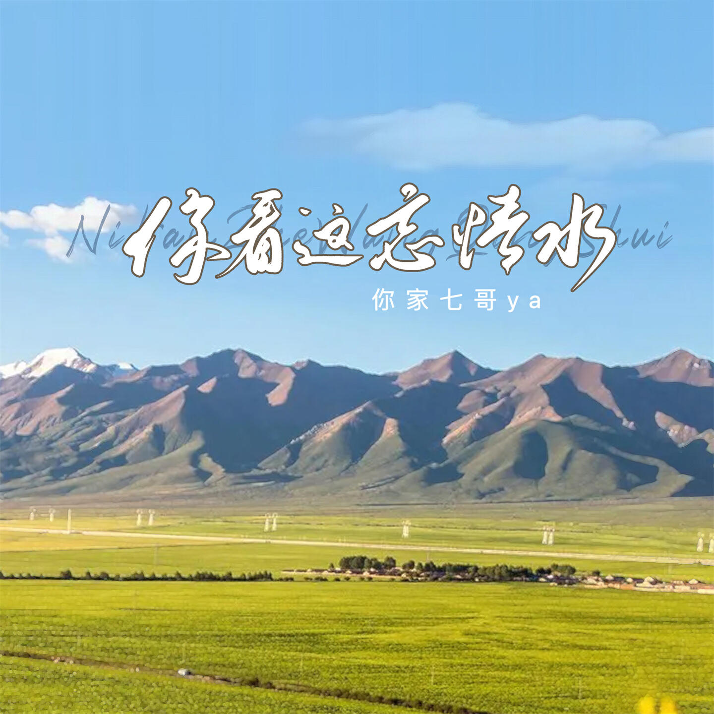 Релиз 你看这忘情水