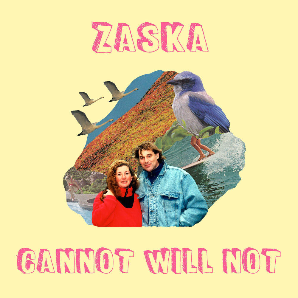 Релиз Cannot Will Not