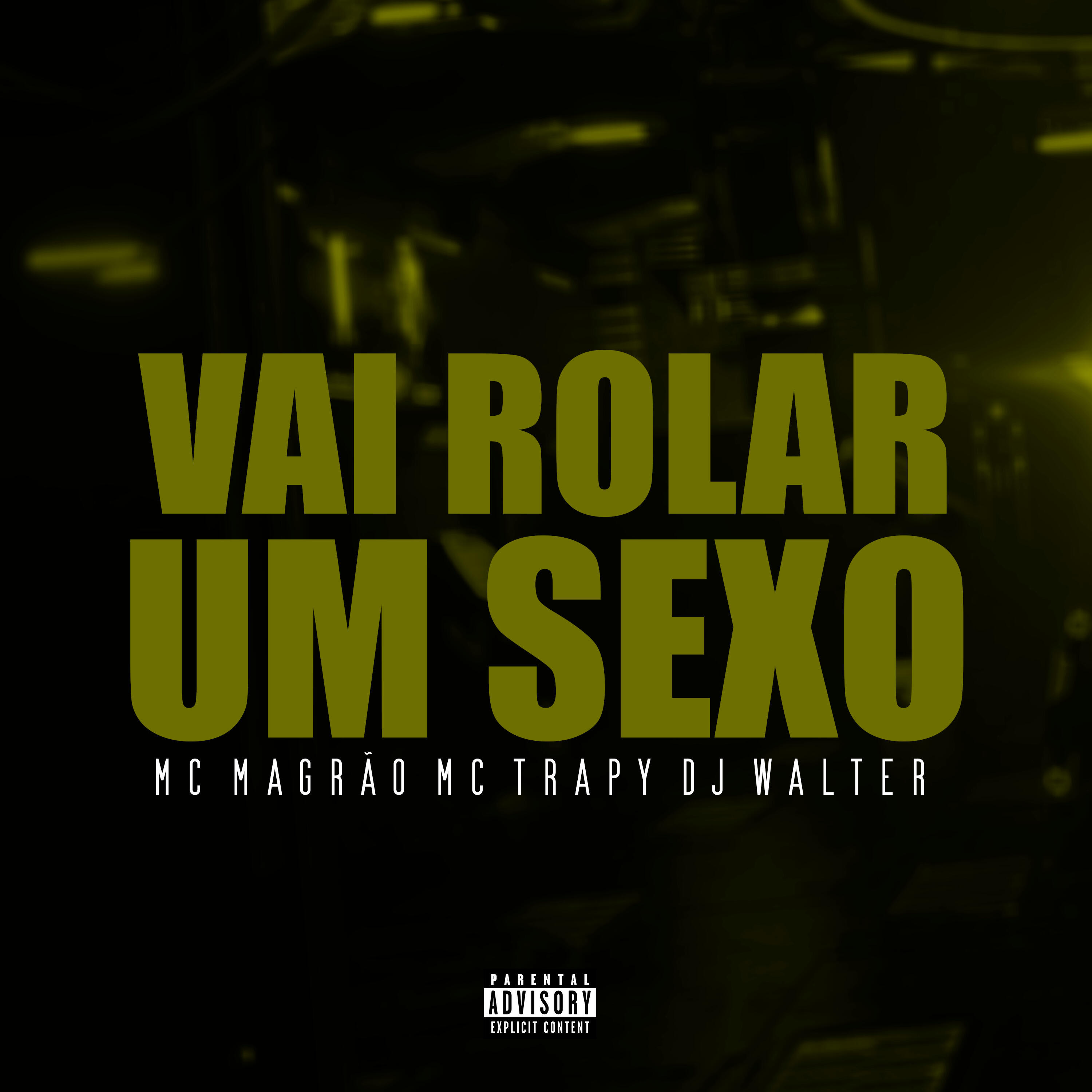 Постер альбома Vai Rolar um Sexo