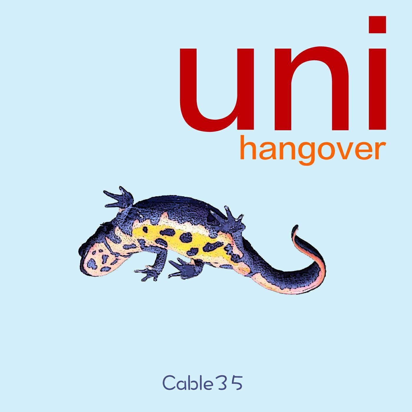 Релиз Uni Hangover