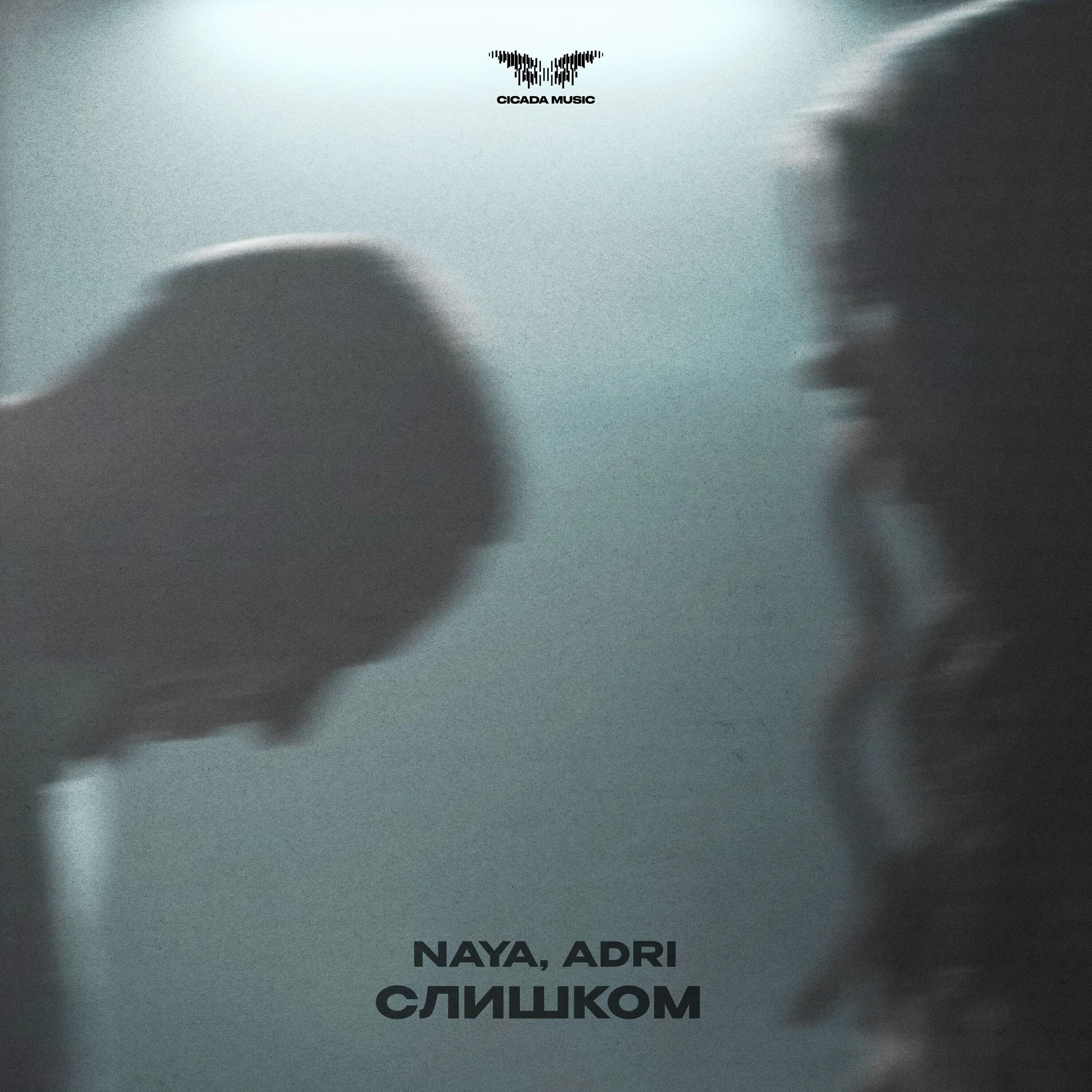 Релиз Слишком