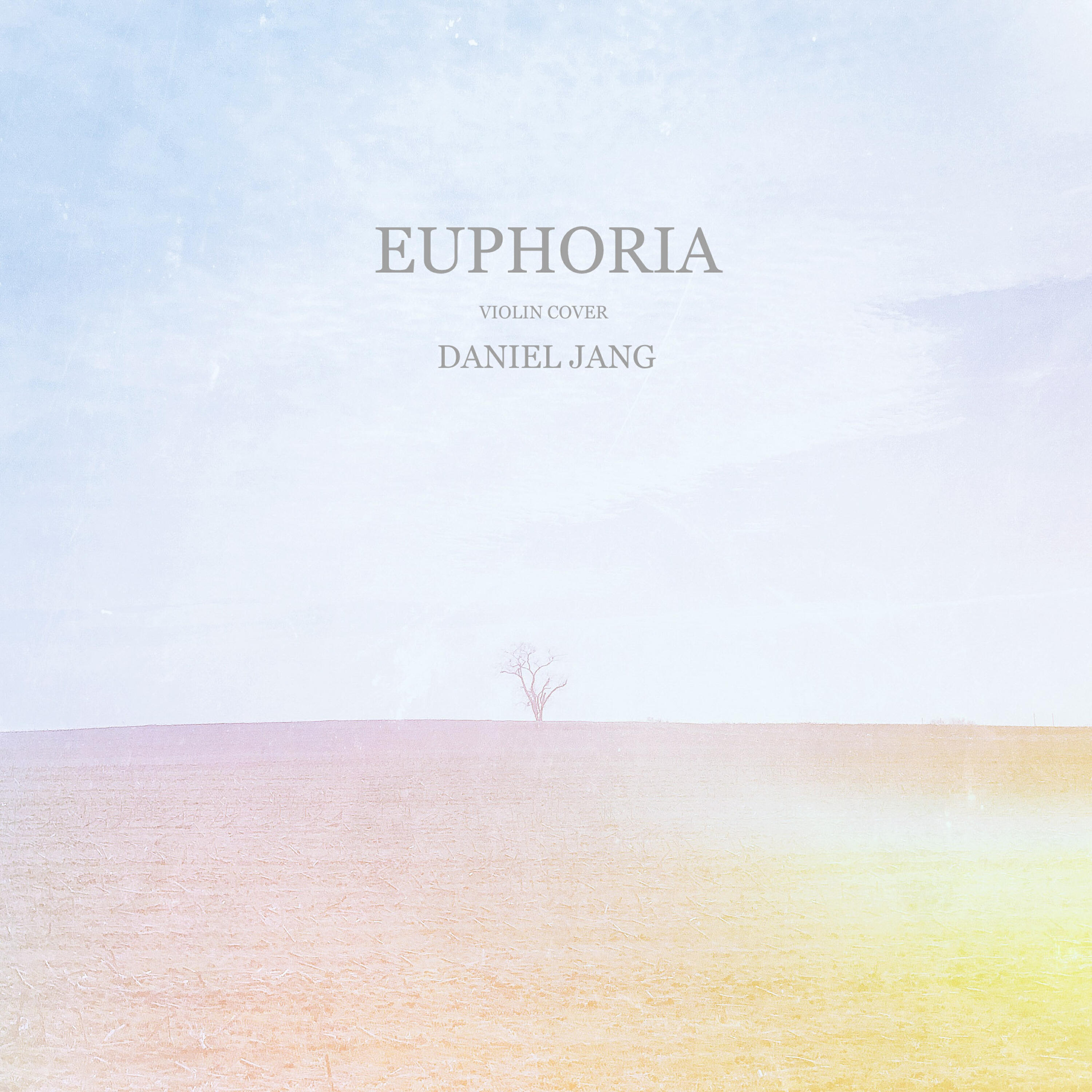 Релиз Euphoria