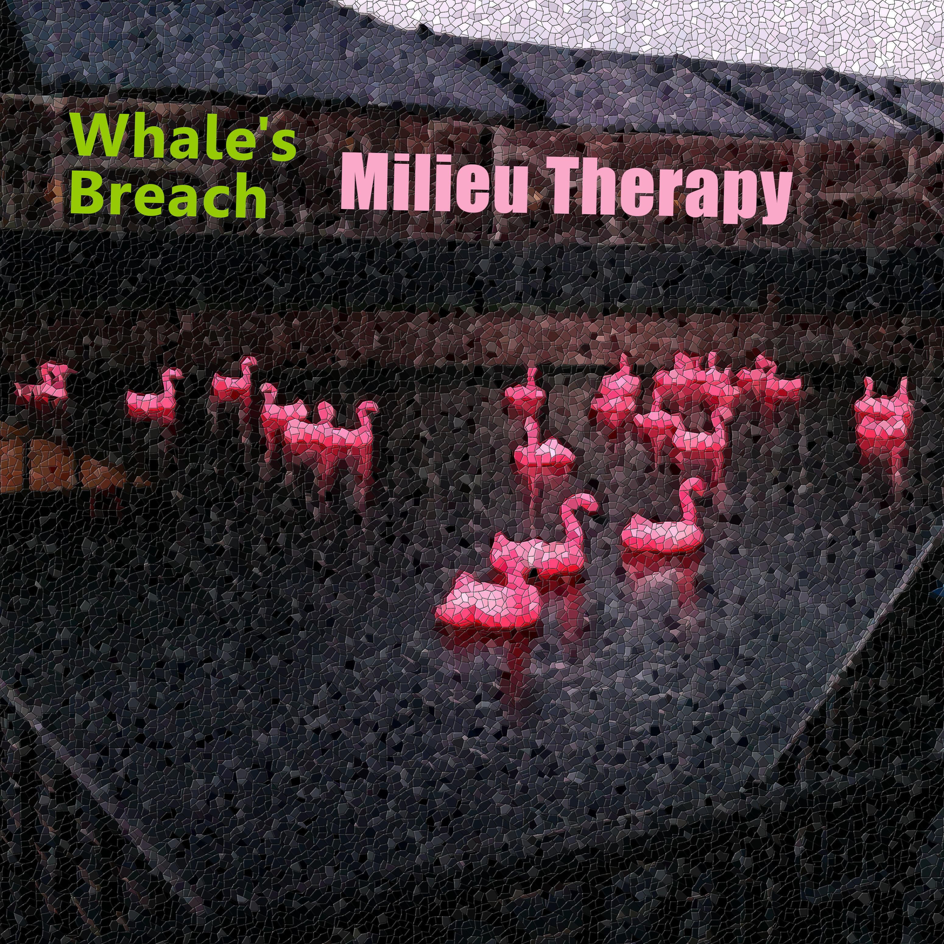 Whale's Breach