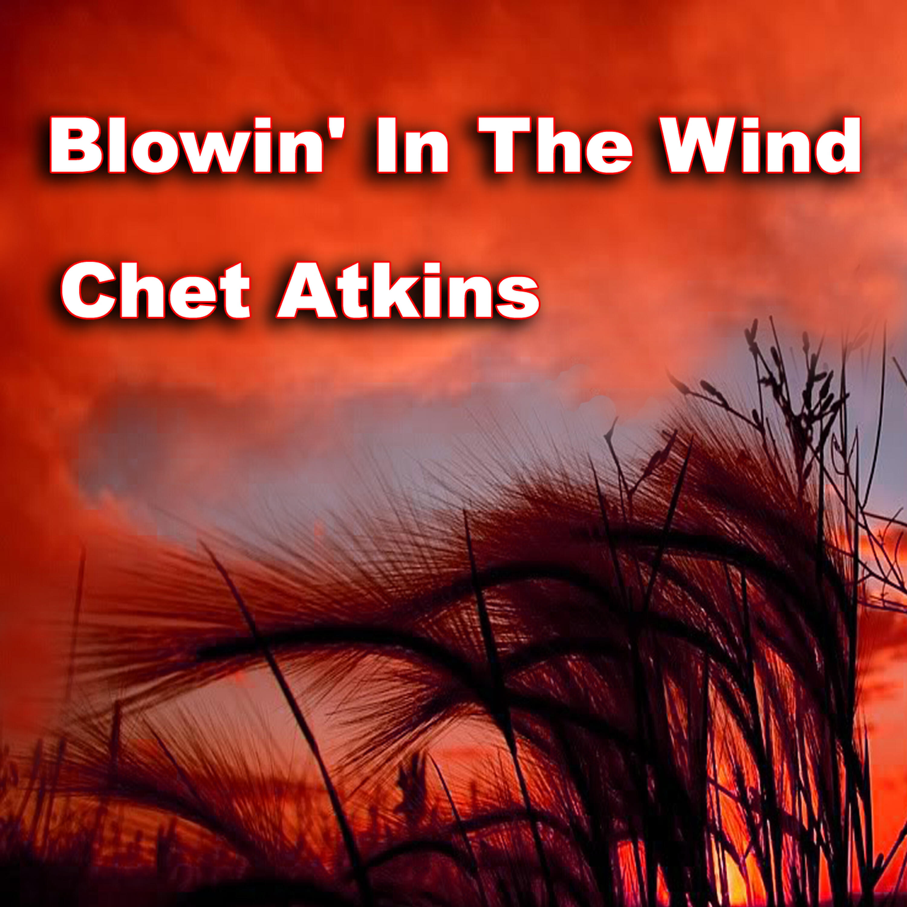 Постер альбома Blowin' in the Wind