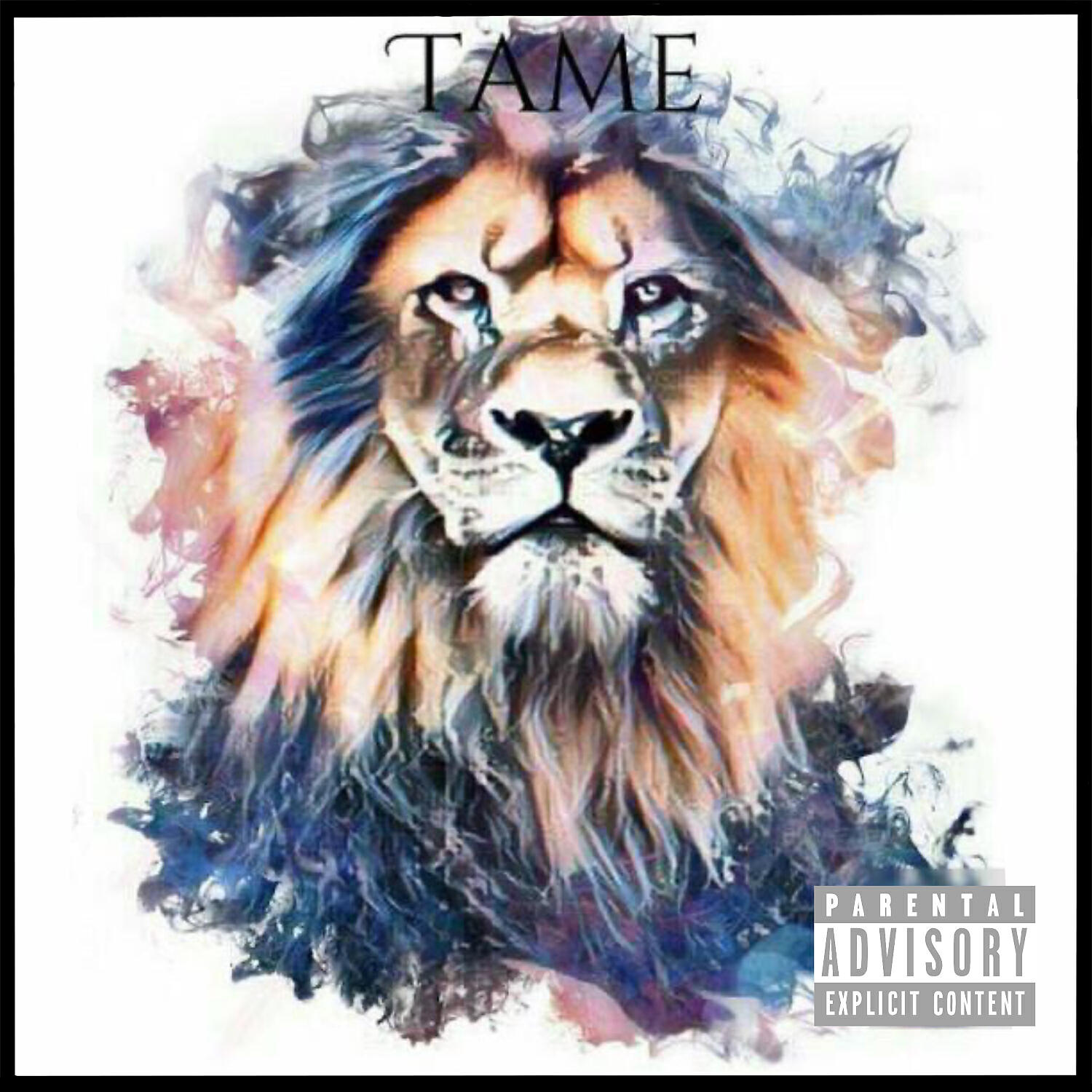 Релиз Tame