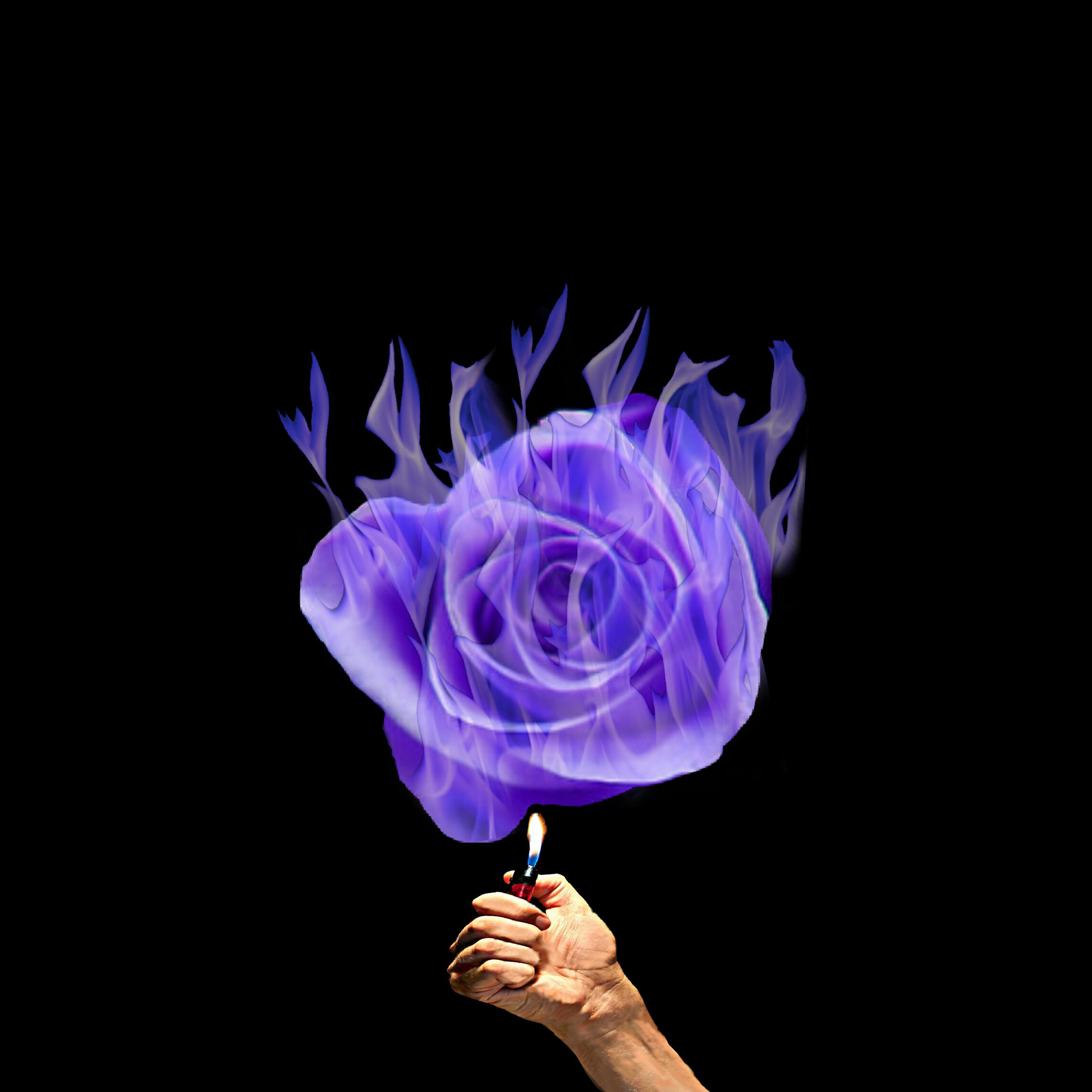 Релиз Purple Dreams