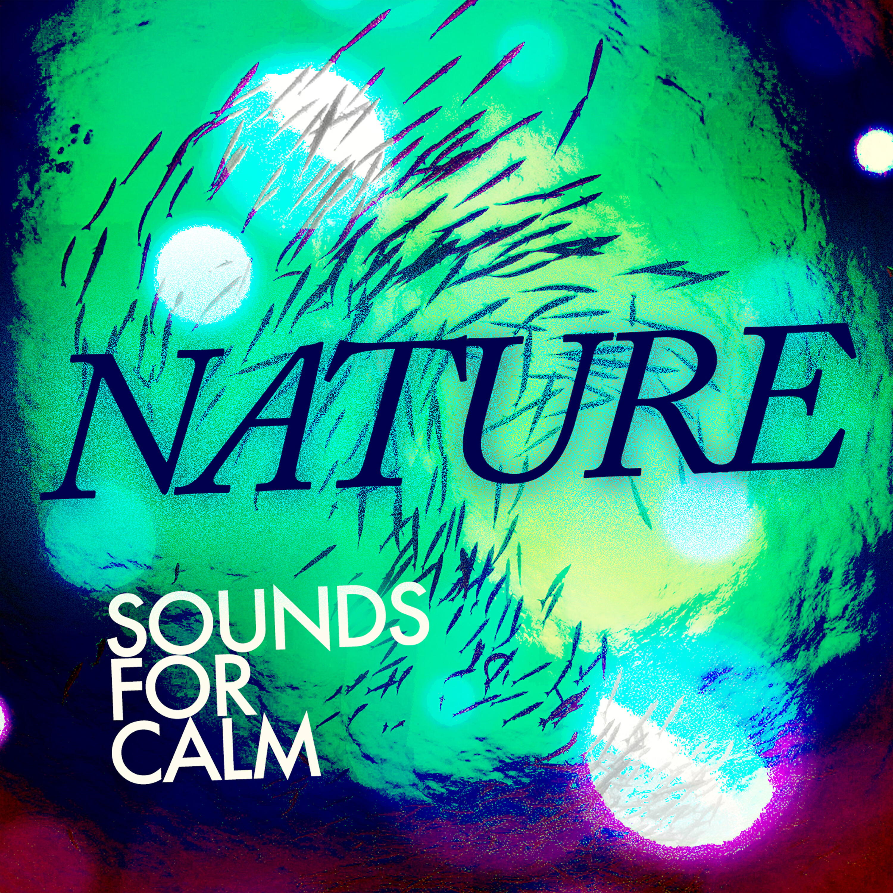 Постер альбома Nature Sounds for Calm