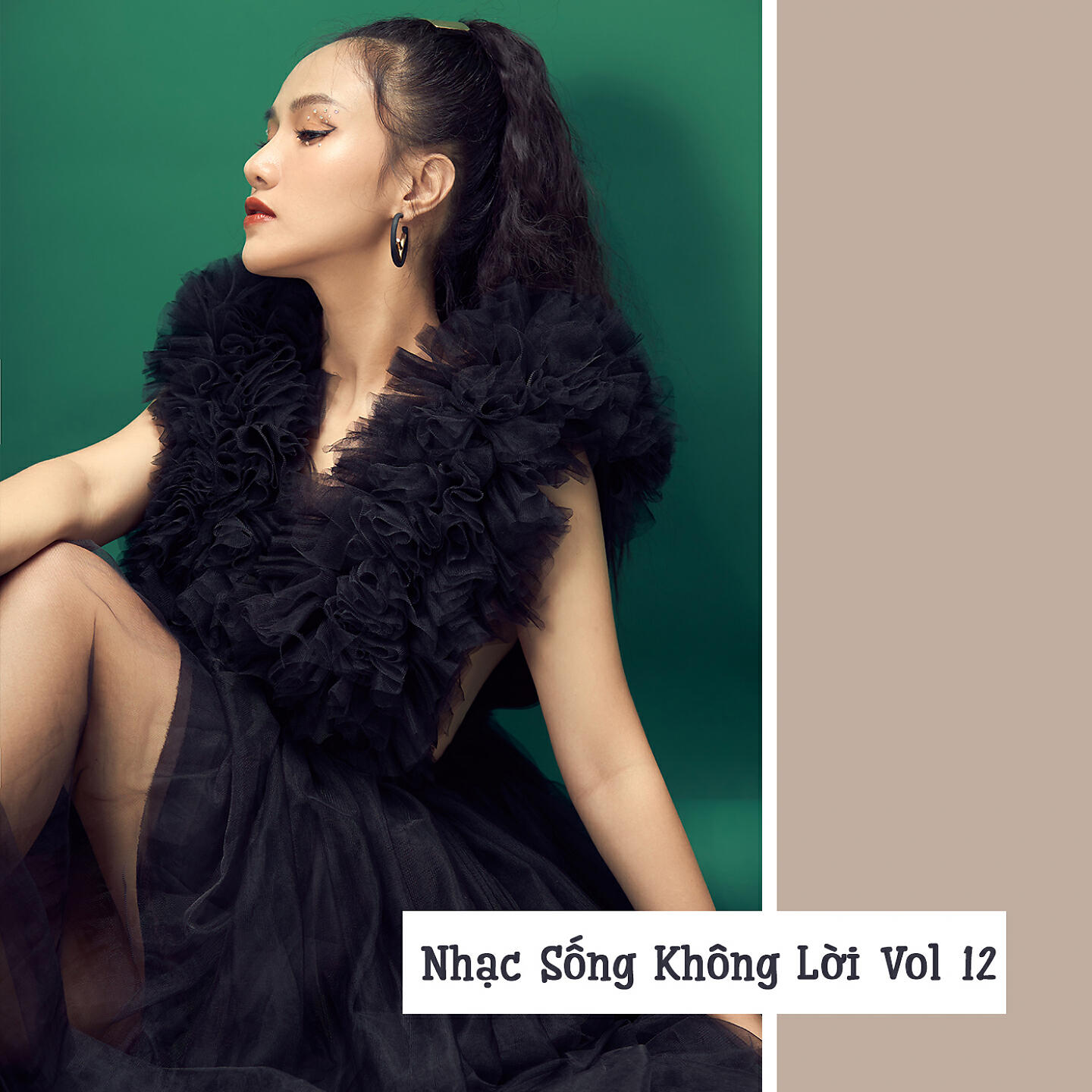 Релиз Nhạc Sống Không Lời, Vol. 12