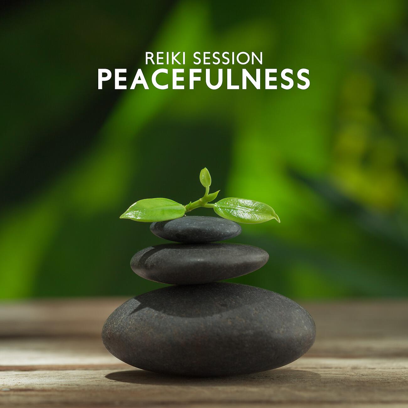 Постер альбома Reiki Session