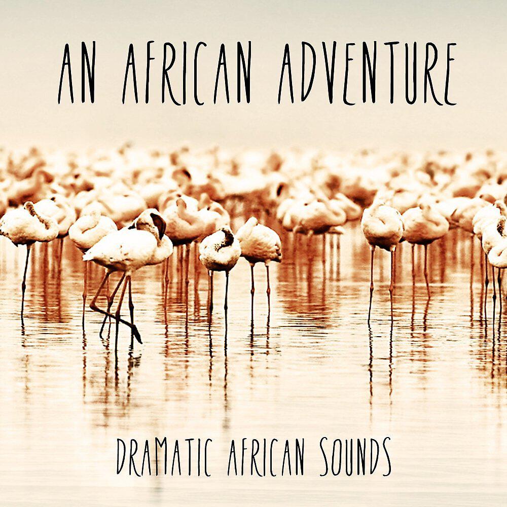 Релиз An African Adventure - Dramatic African Sounds