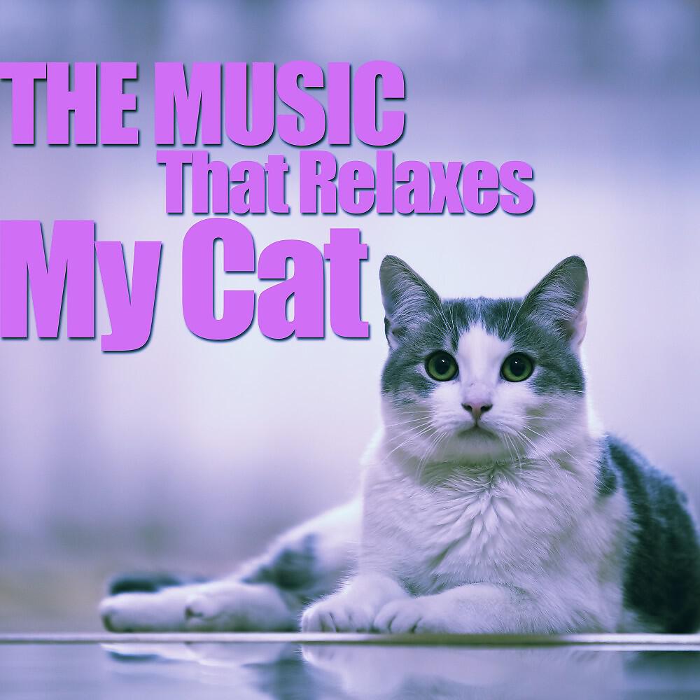 Релиз The Music That Relaxes My Cat