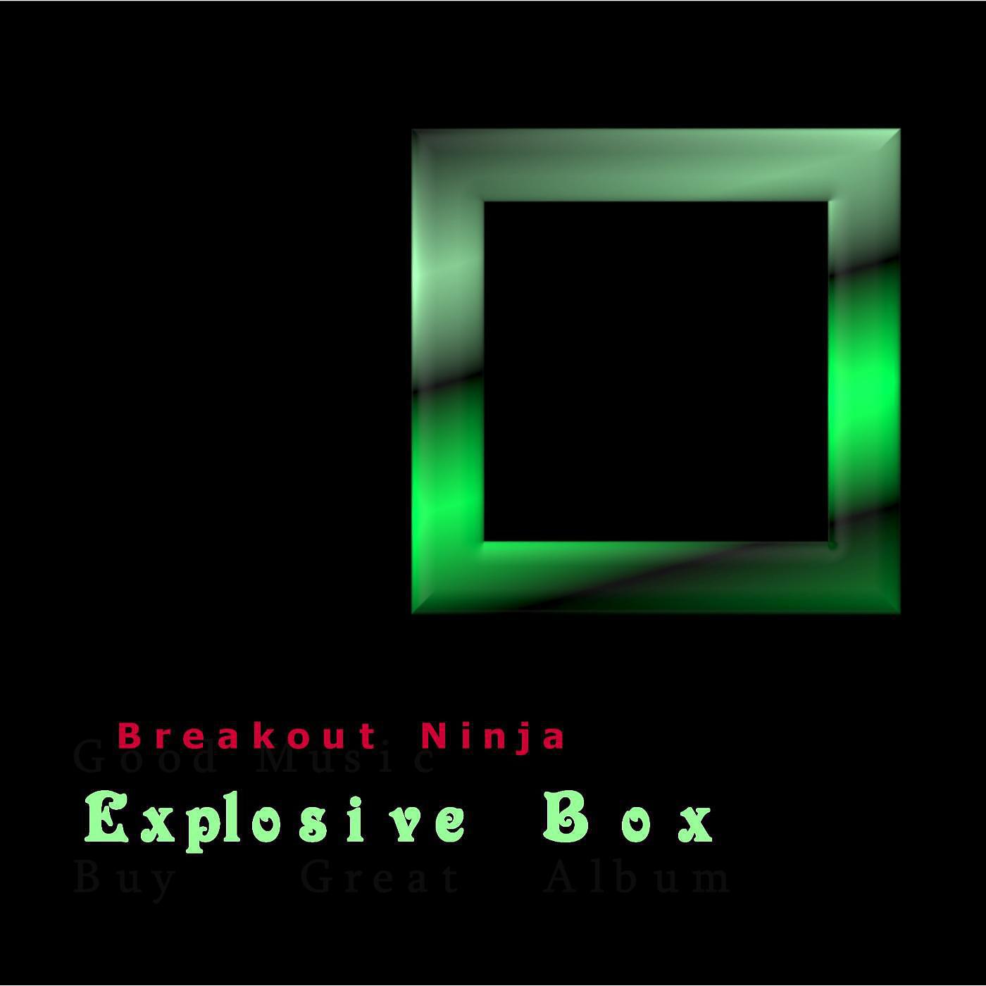 Breakout Ninja