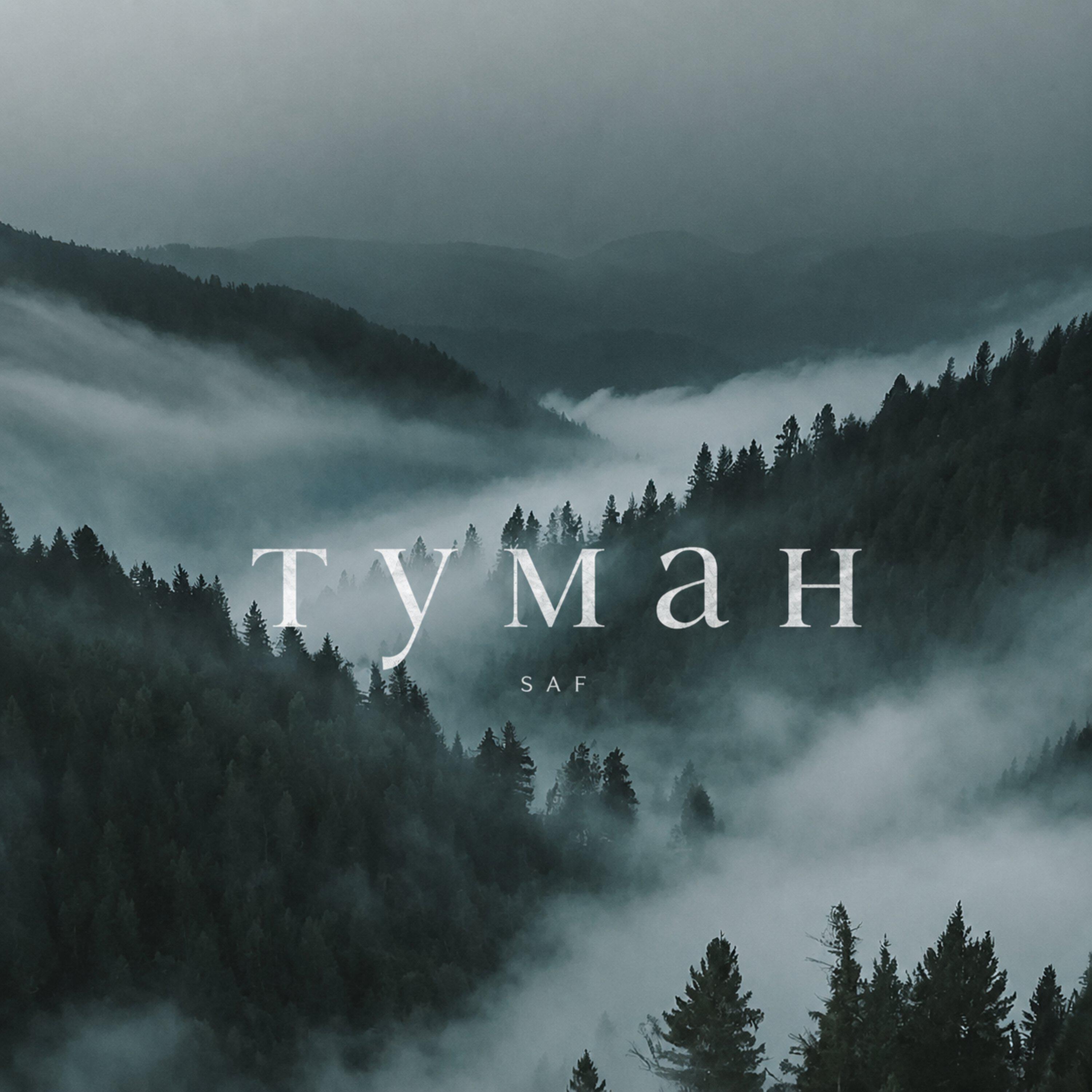 Релиз Туман