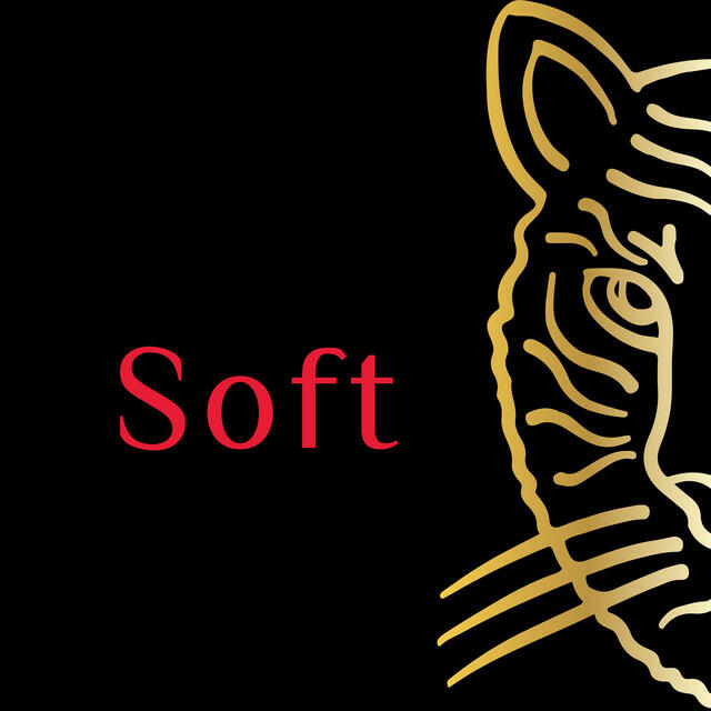 Релиз Soft
