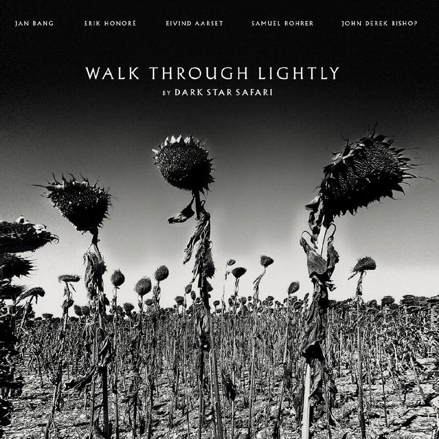 Релиз Walk Through Lightly