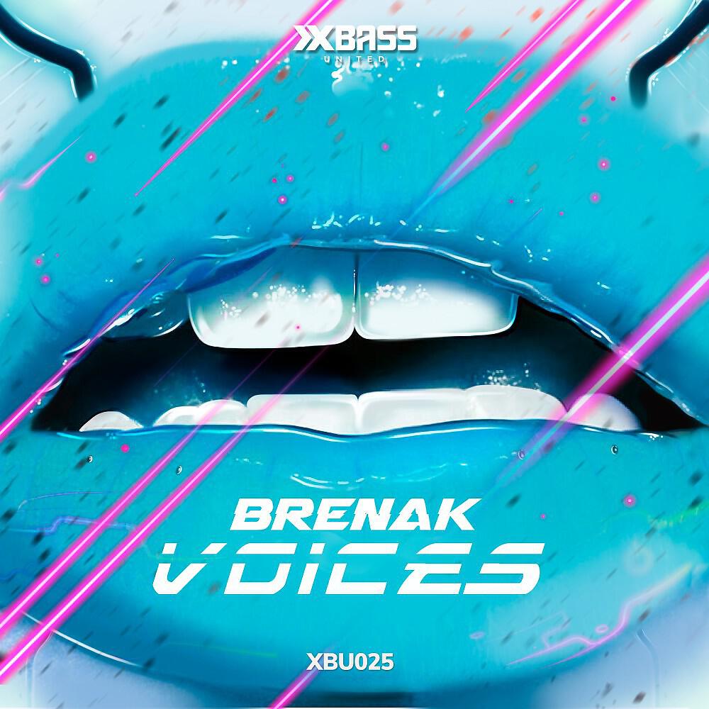 Релиз Voices