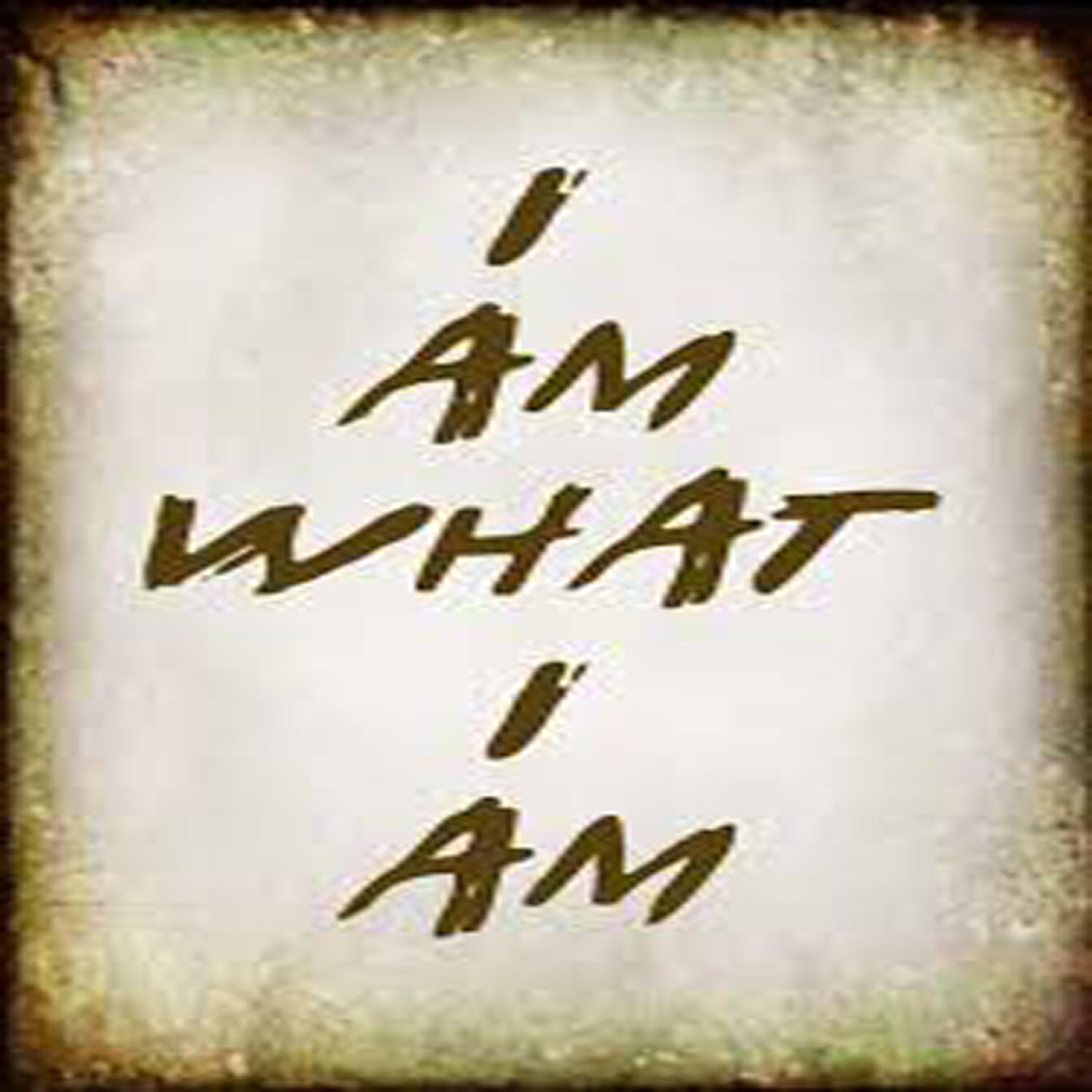 Релиз I Am What I Am (Originally Performed by Gloria Gaynor) [Karaoke Version]