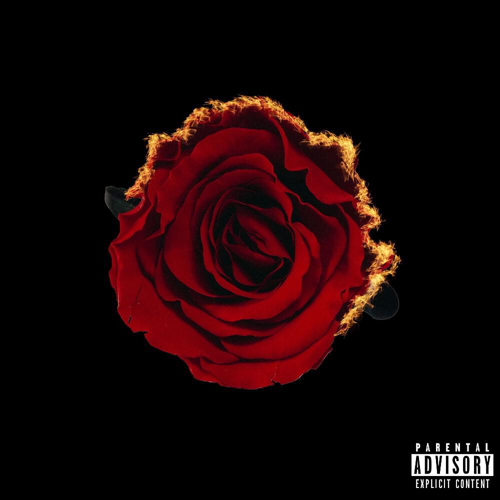 Релиз Rose